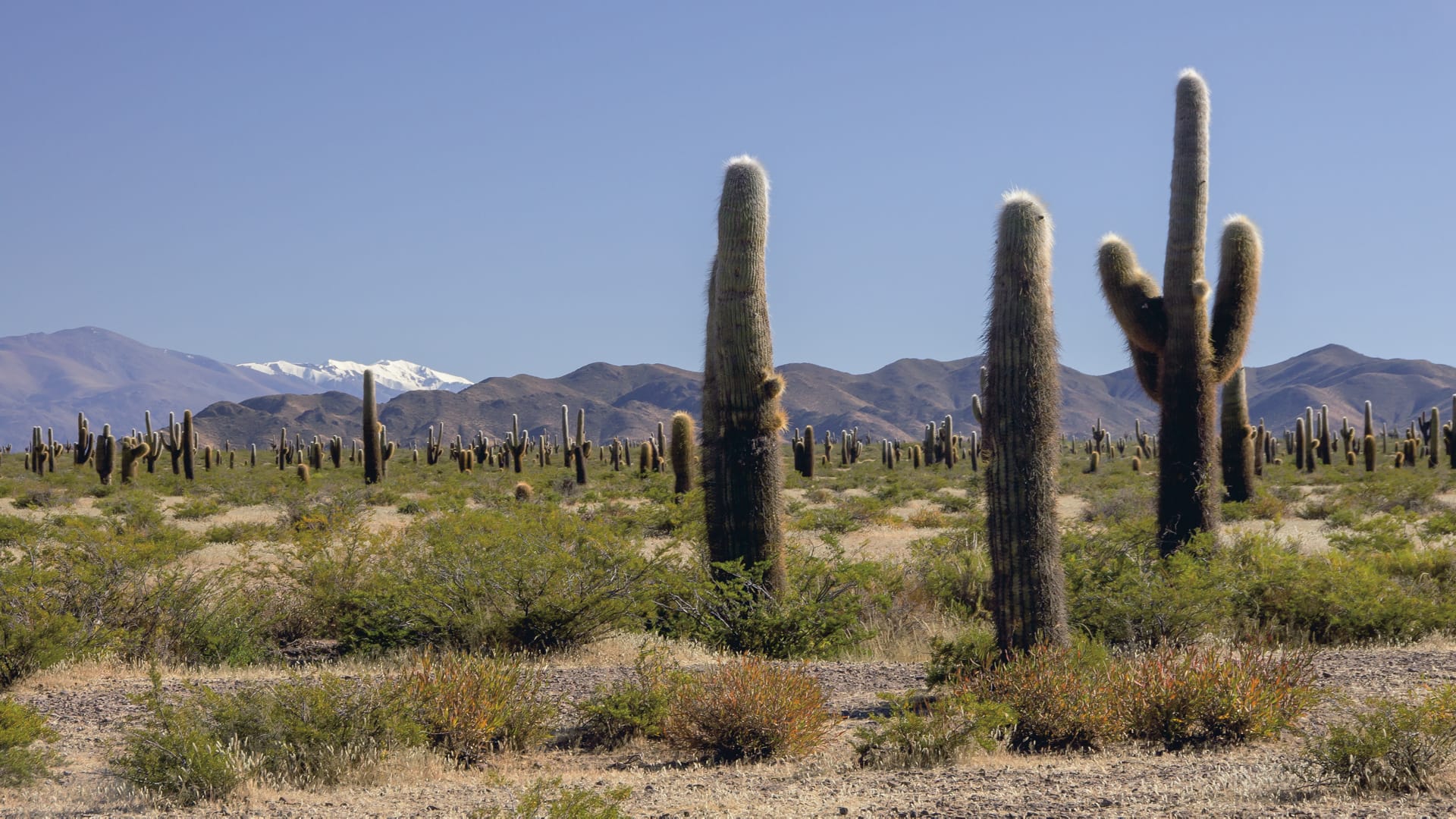 SAM_AR_031_20130730_PP