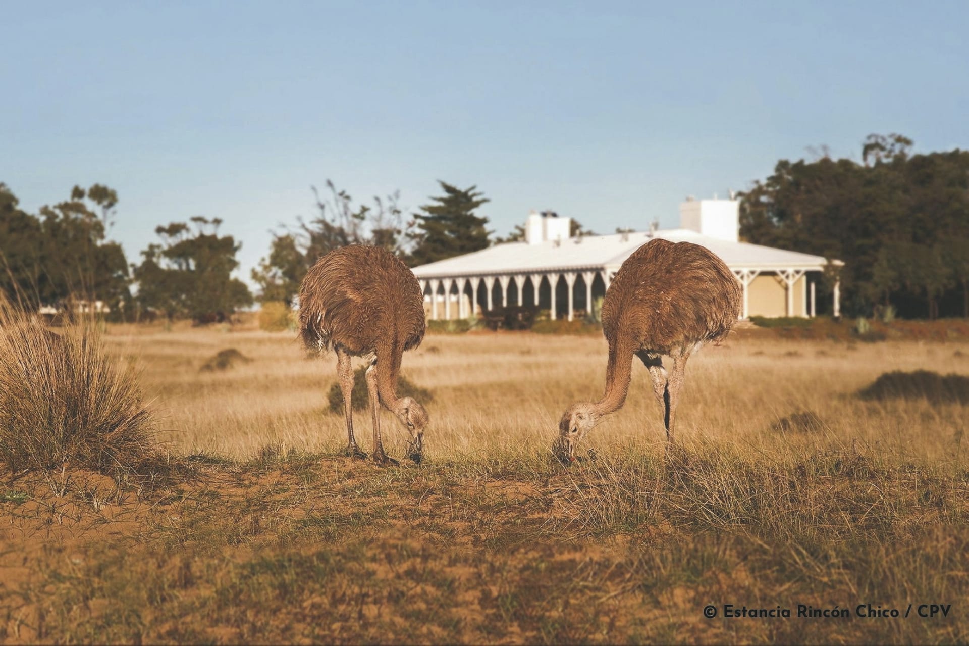 SAM_AR_032222_KHM_24