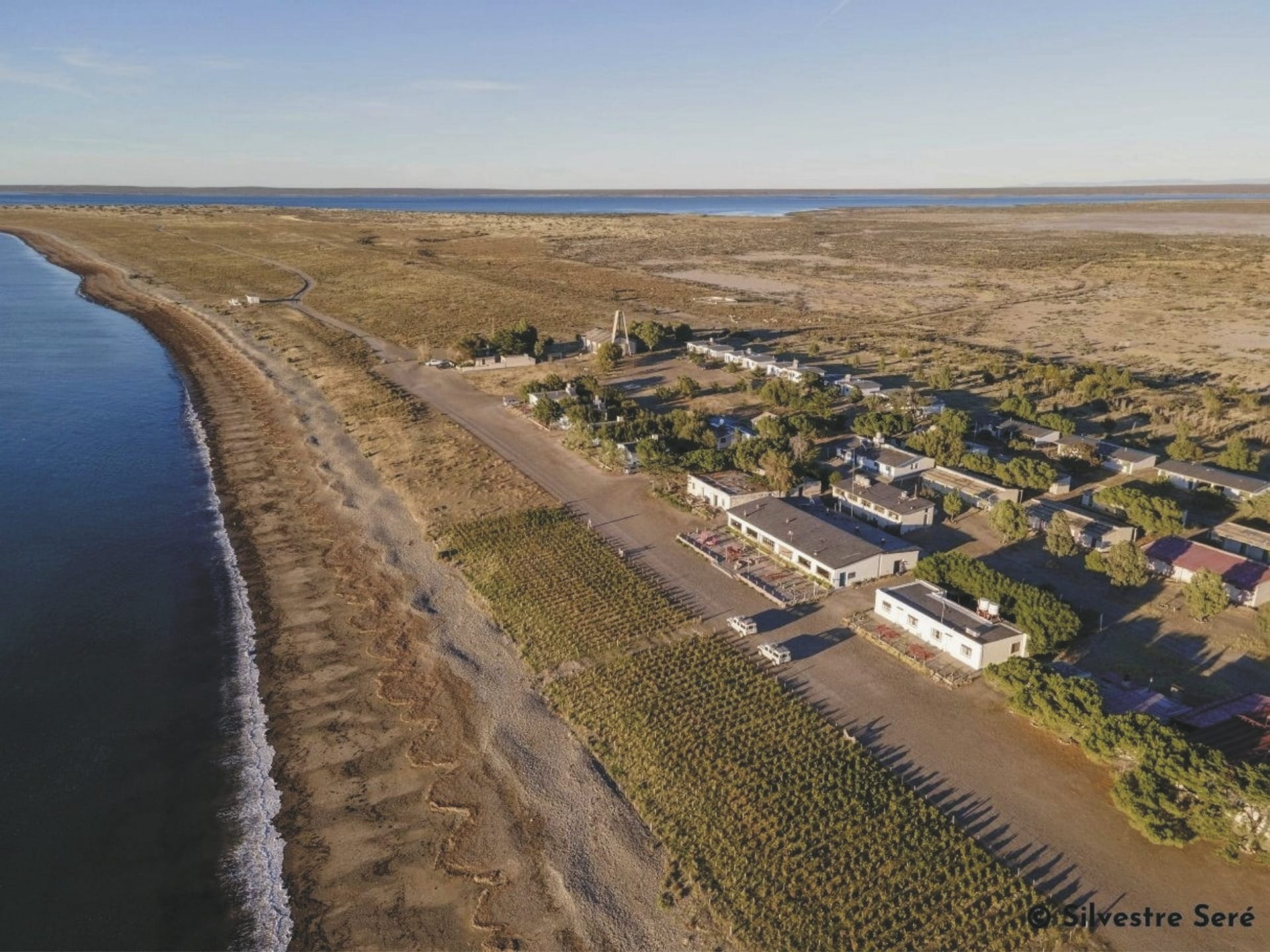 SAM_AR_032222_KHM_38