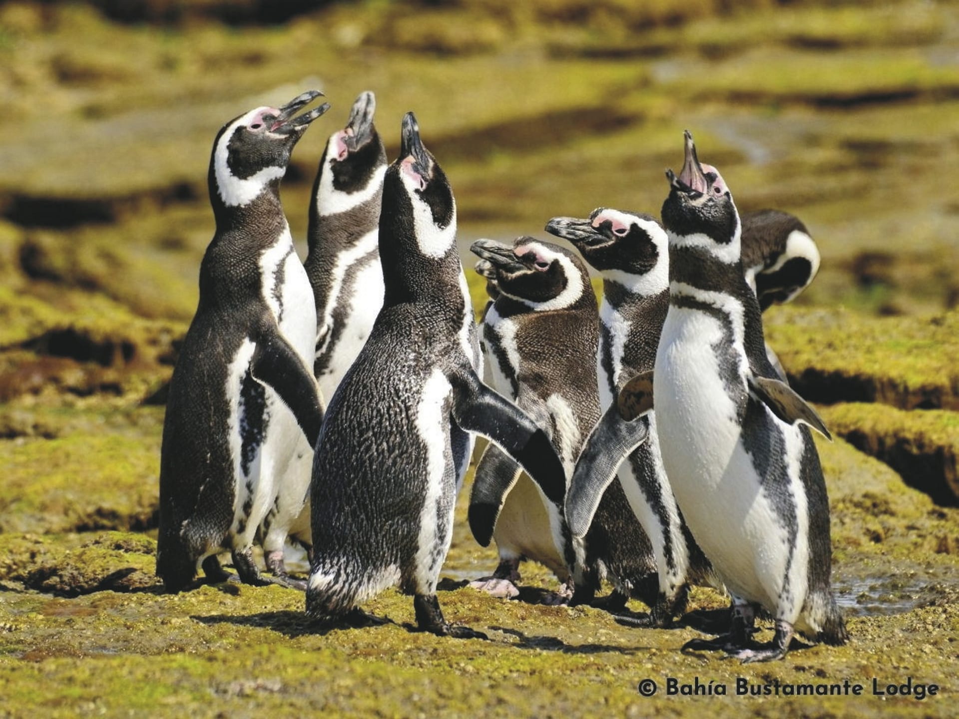 SAM_AR_032222_KHM_42