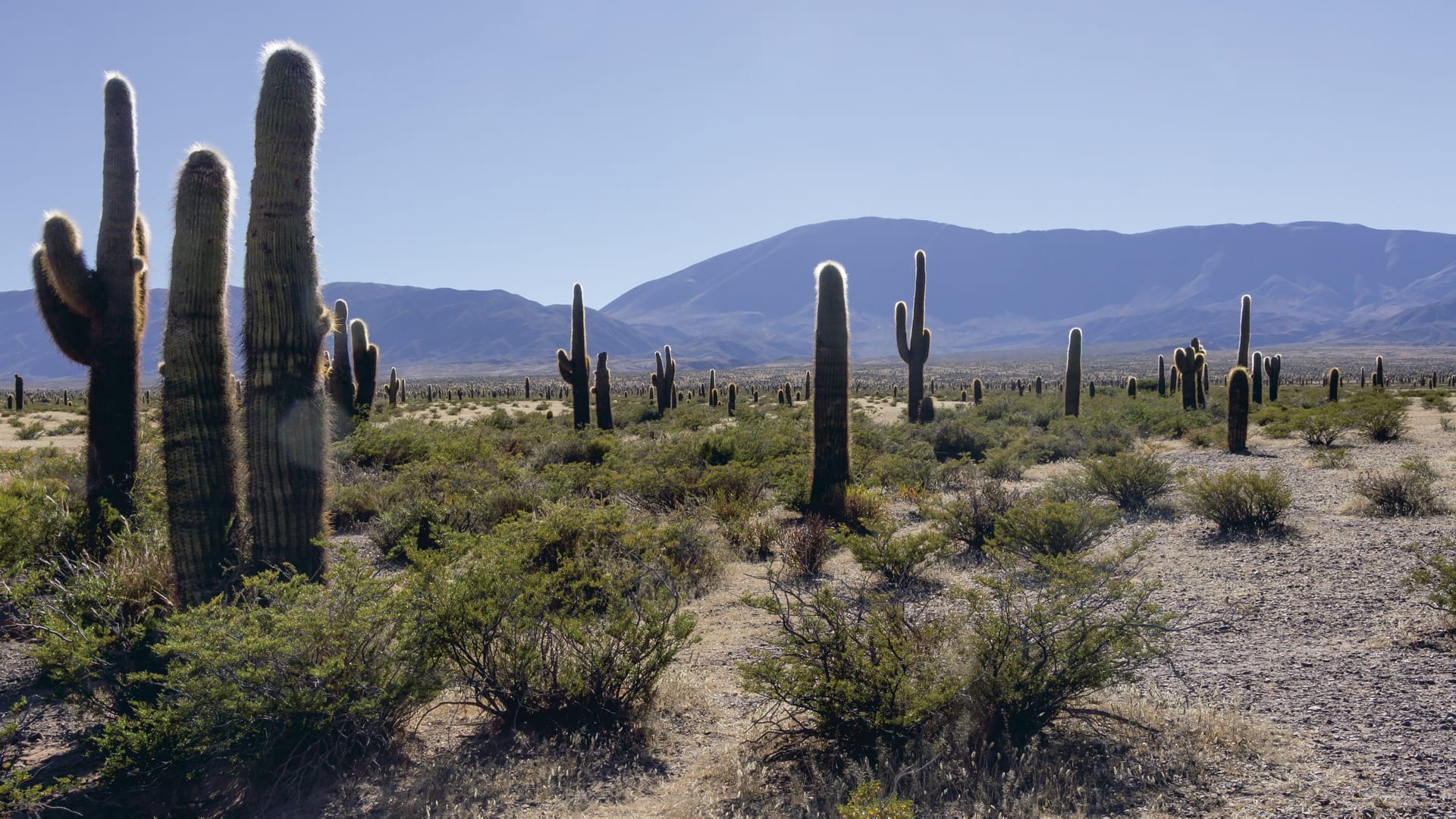 SAM_AR_032_20130730_PP