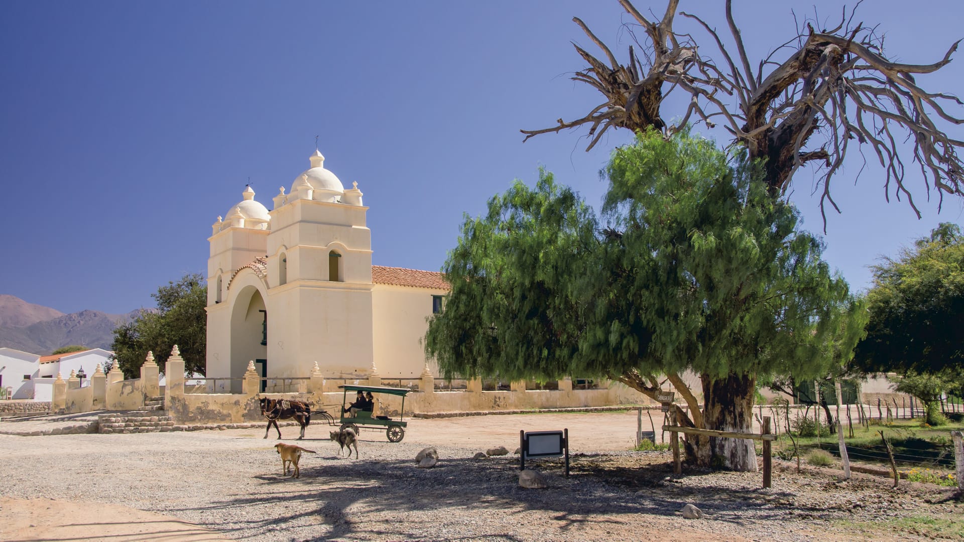 SAM_AR_035_20130730_PP