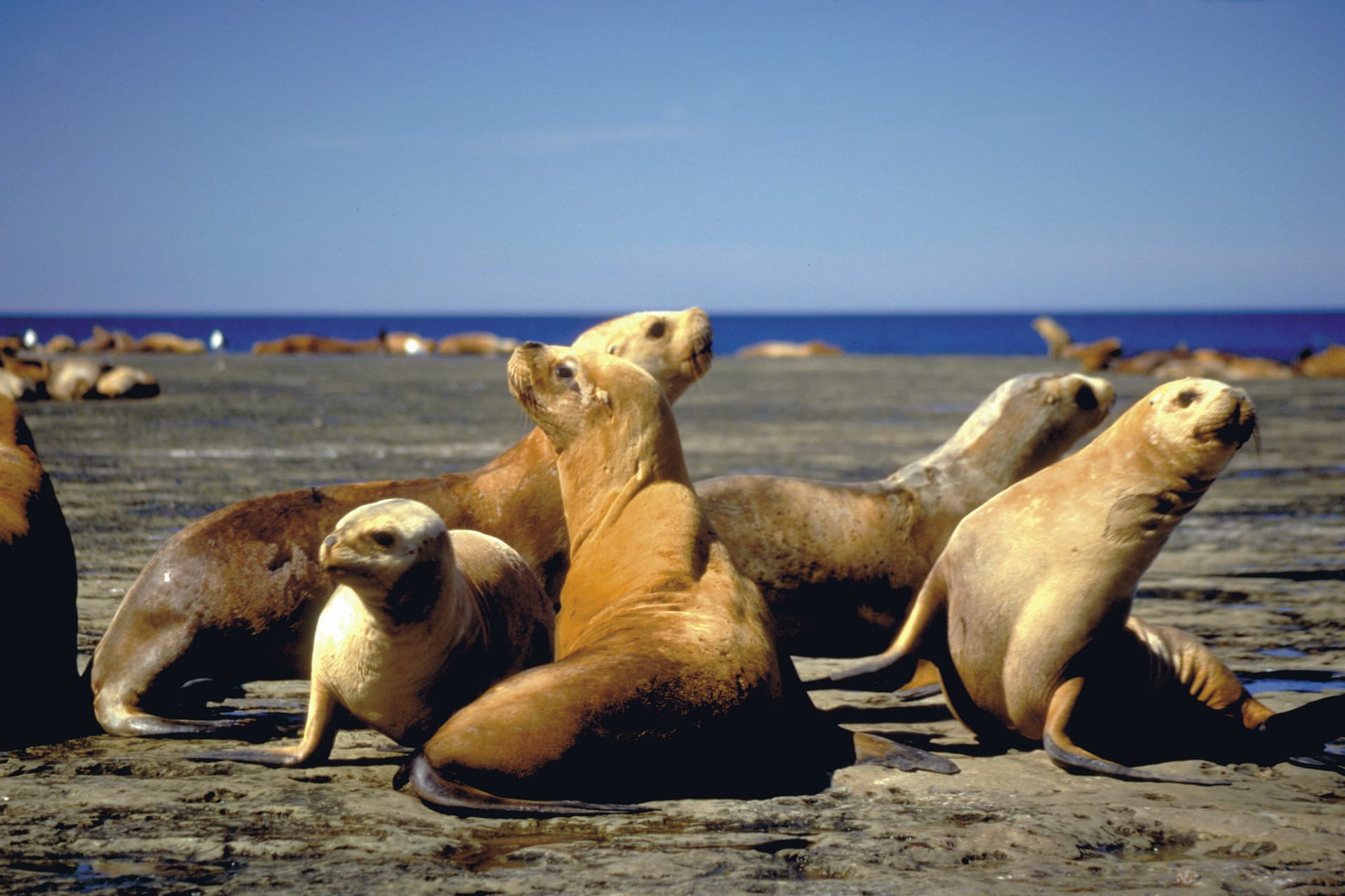 SAM_AR_037_20081219_SS