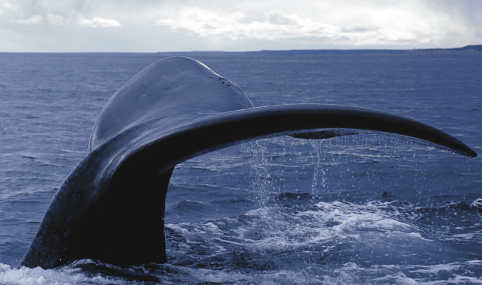 SAM_AR_041_20081217_SS