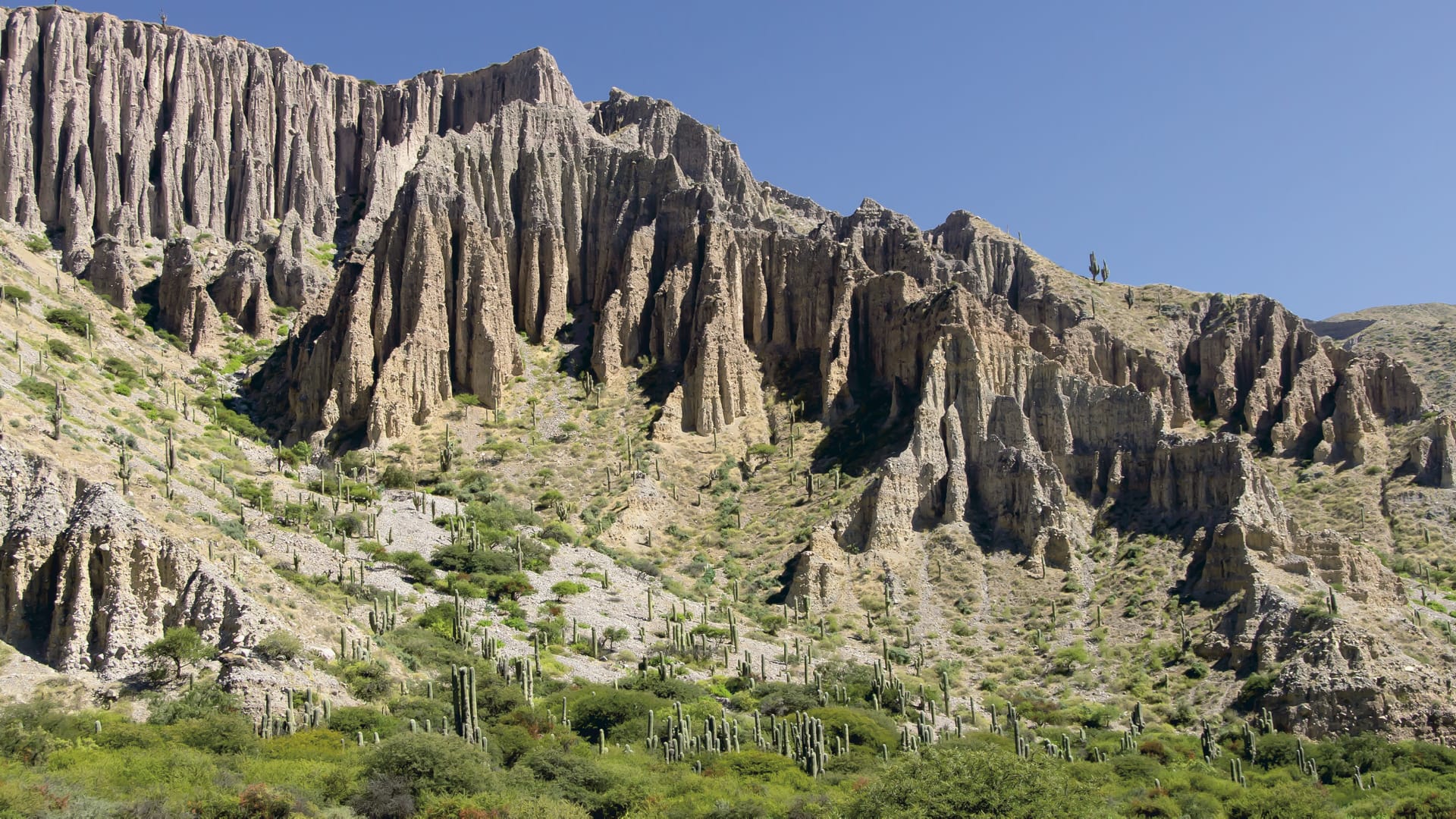 SAM_AR_049_20130730_PP