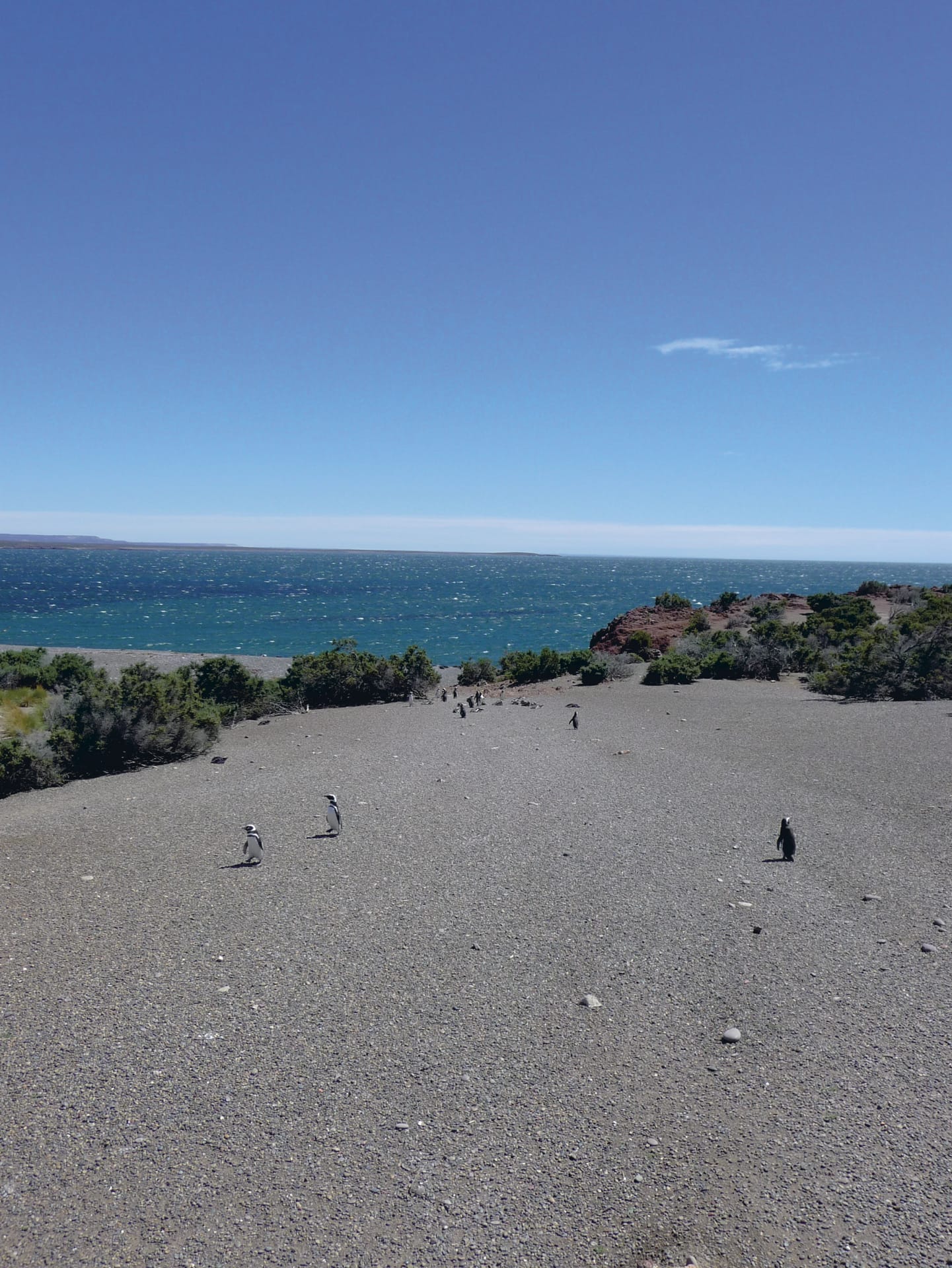 SAM_AR_098_20110722_PP