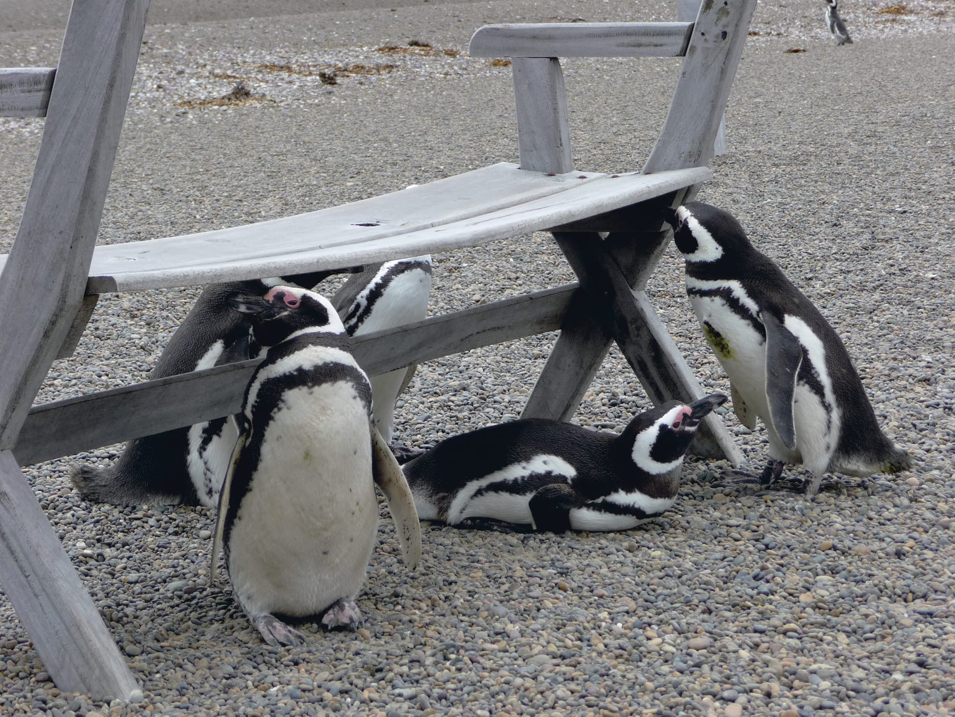 SAM_AR_104_20110722_PP