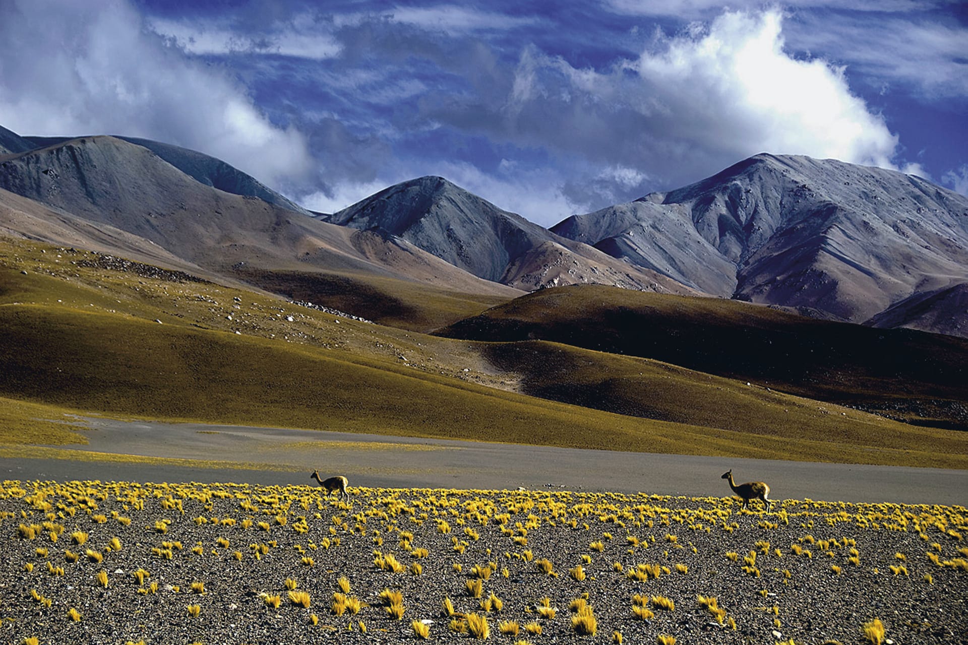 SAM_AR_105_20130626_PP