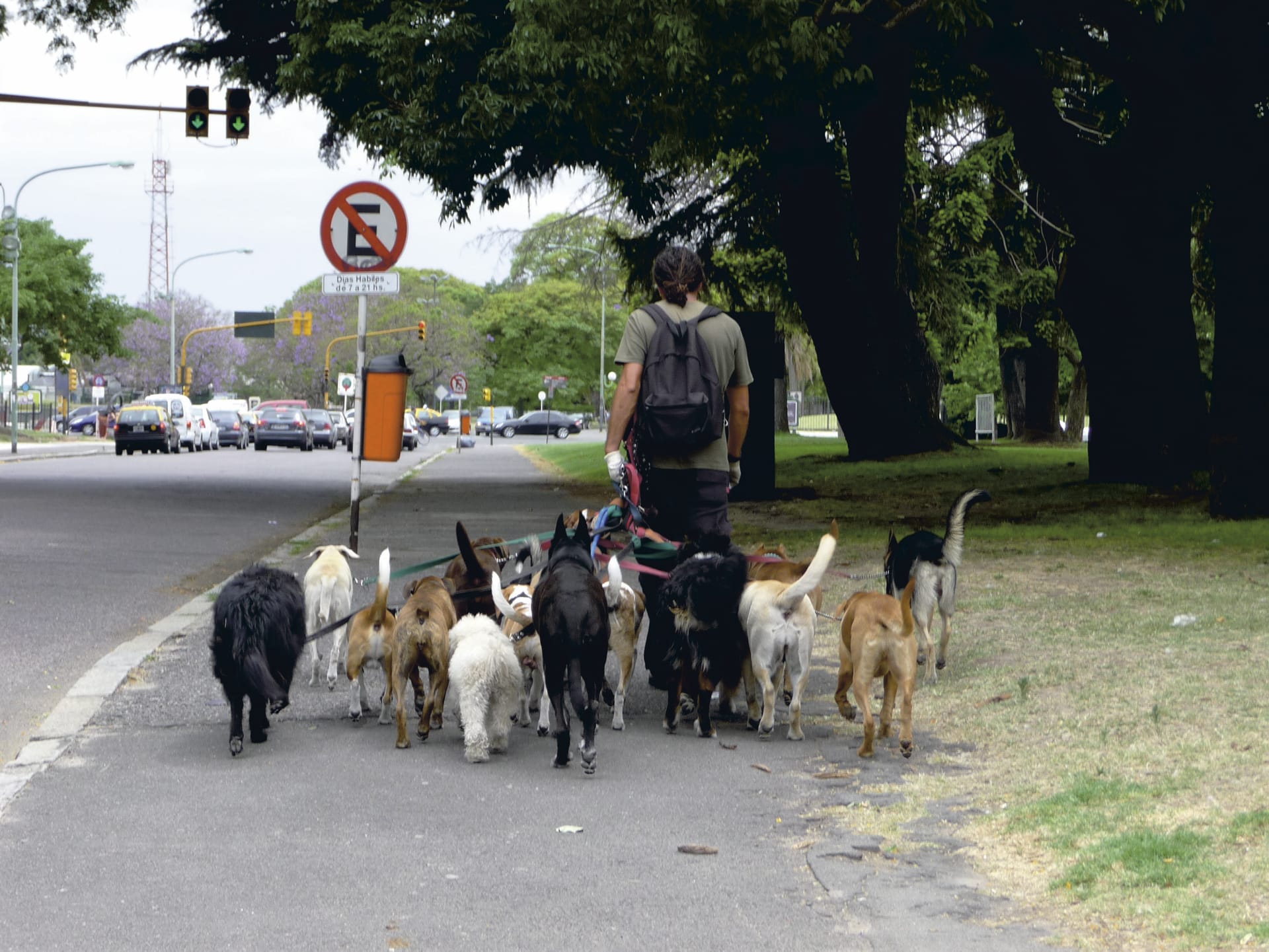 SAM_AR_178_20110913_PP