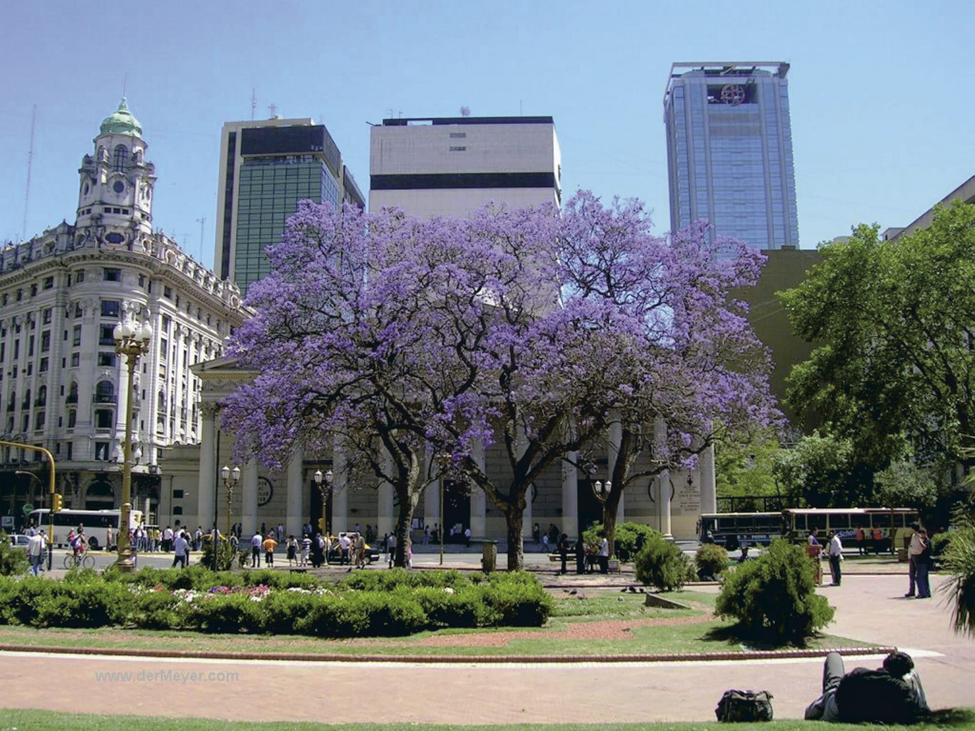 SAM_AR_185_20110913_PP