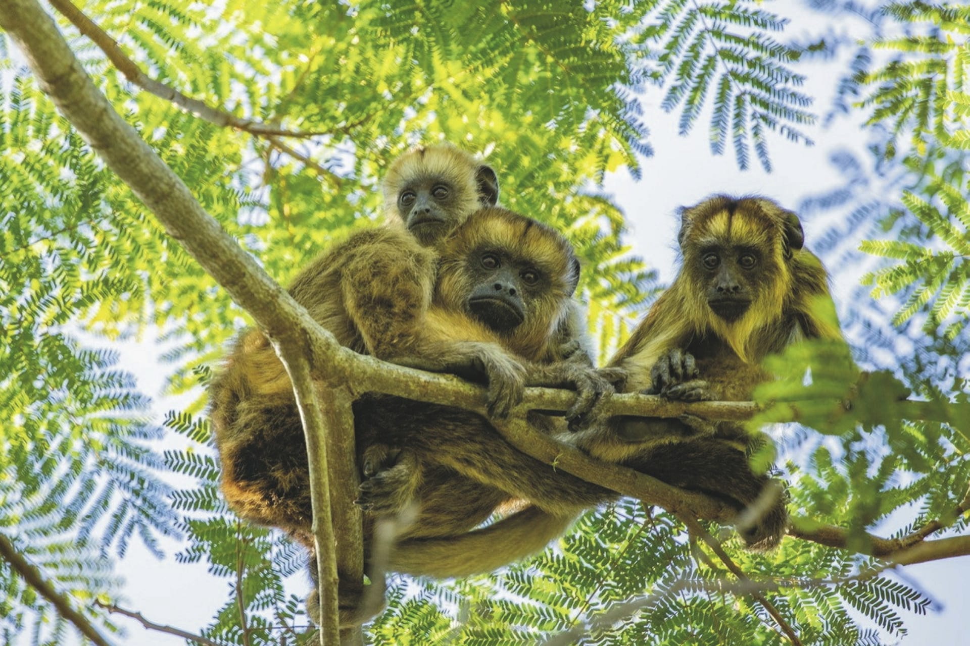 SAM_AR_20241111_KHM_3