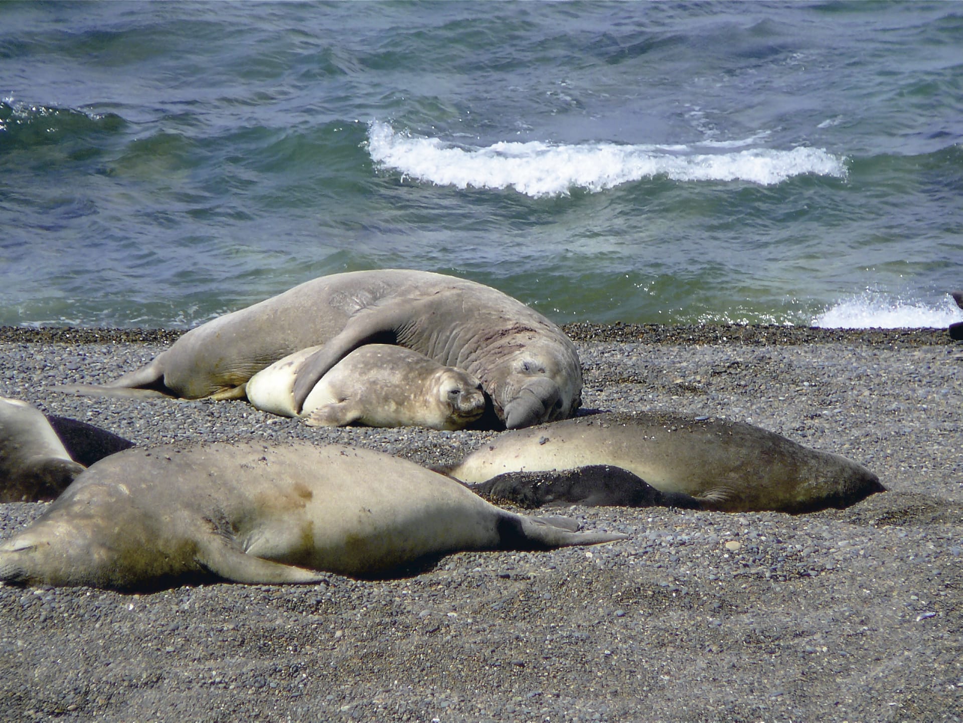 SAM_AR_221_20120915_PP