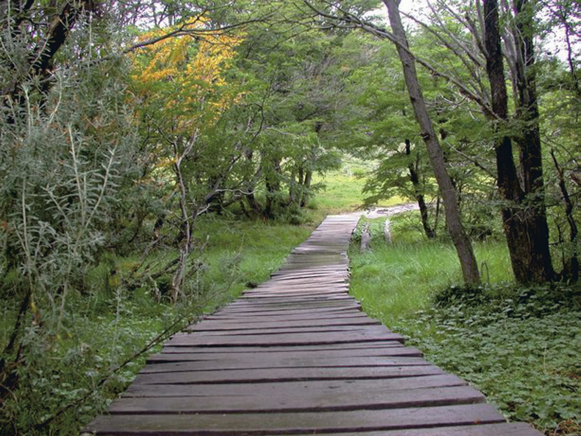 SAM_AR_230_20110913_PP