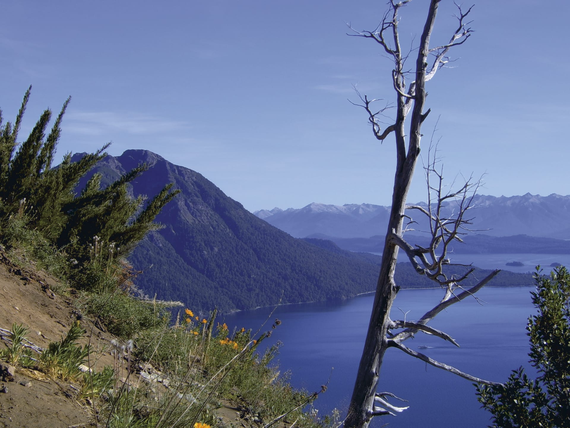 SAM_AR_249_20121005_PP