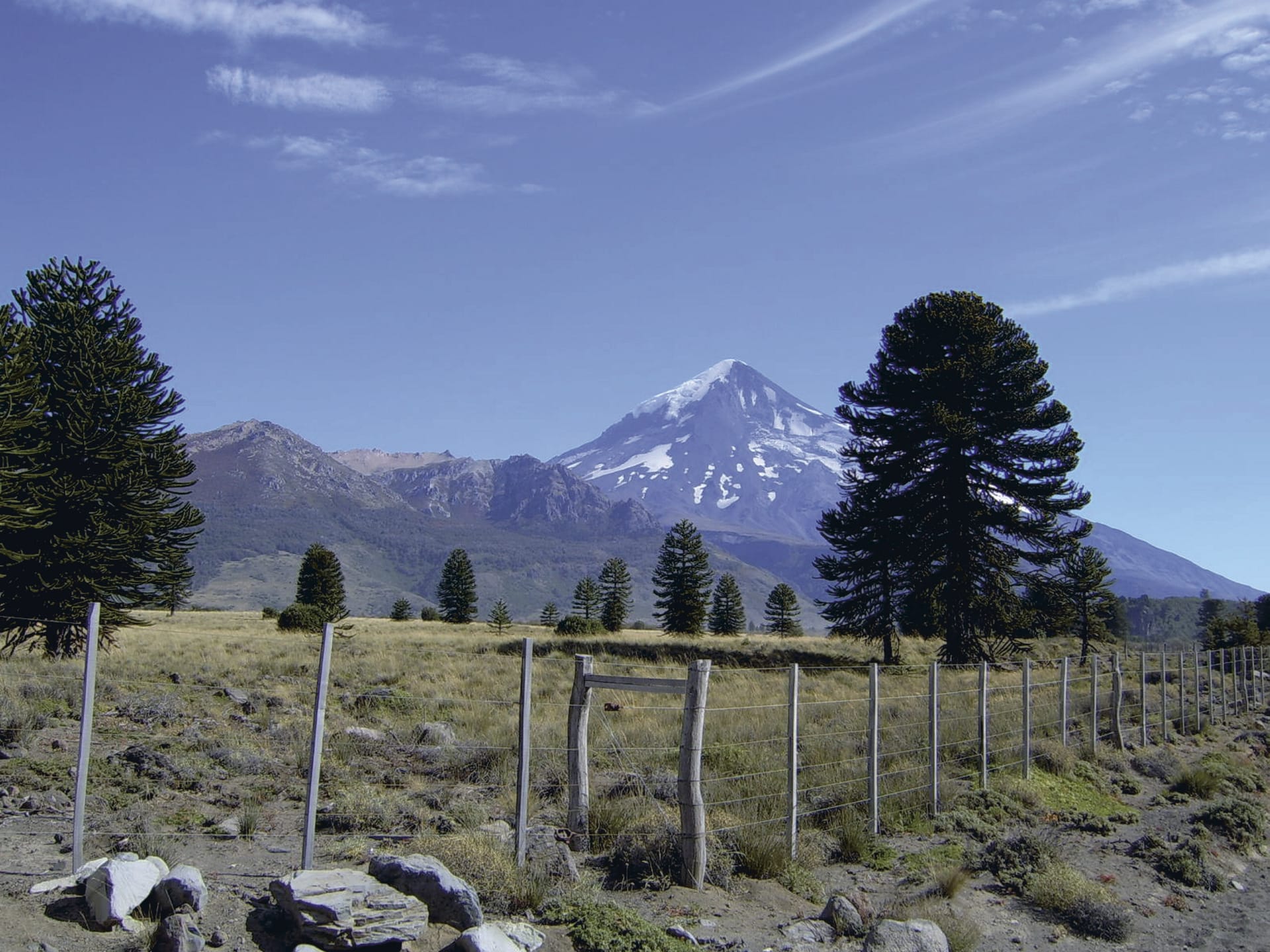 SAM_AR_251_20121005_PP