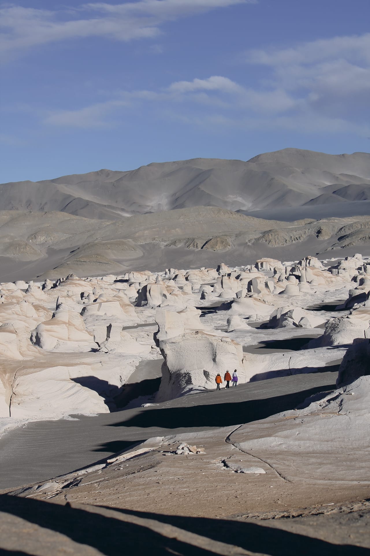 SAM_AR_393_20131021_PP