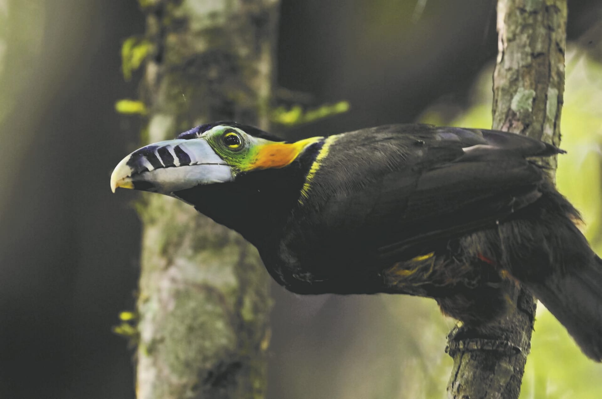 SAM_AR_505_20150824_PP