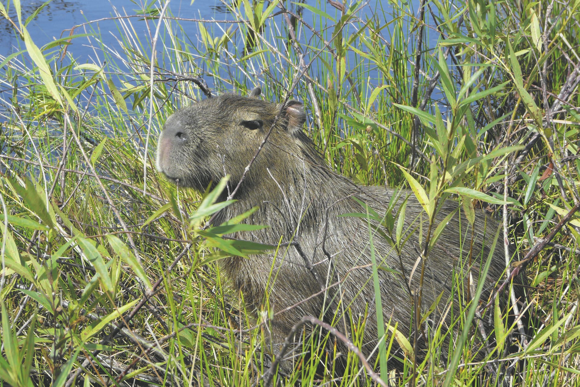 SAM_AR_565_20160701_PP