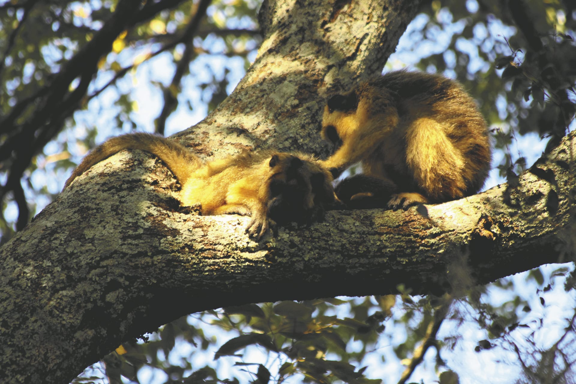 SAM_AR_590_20150826_PP