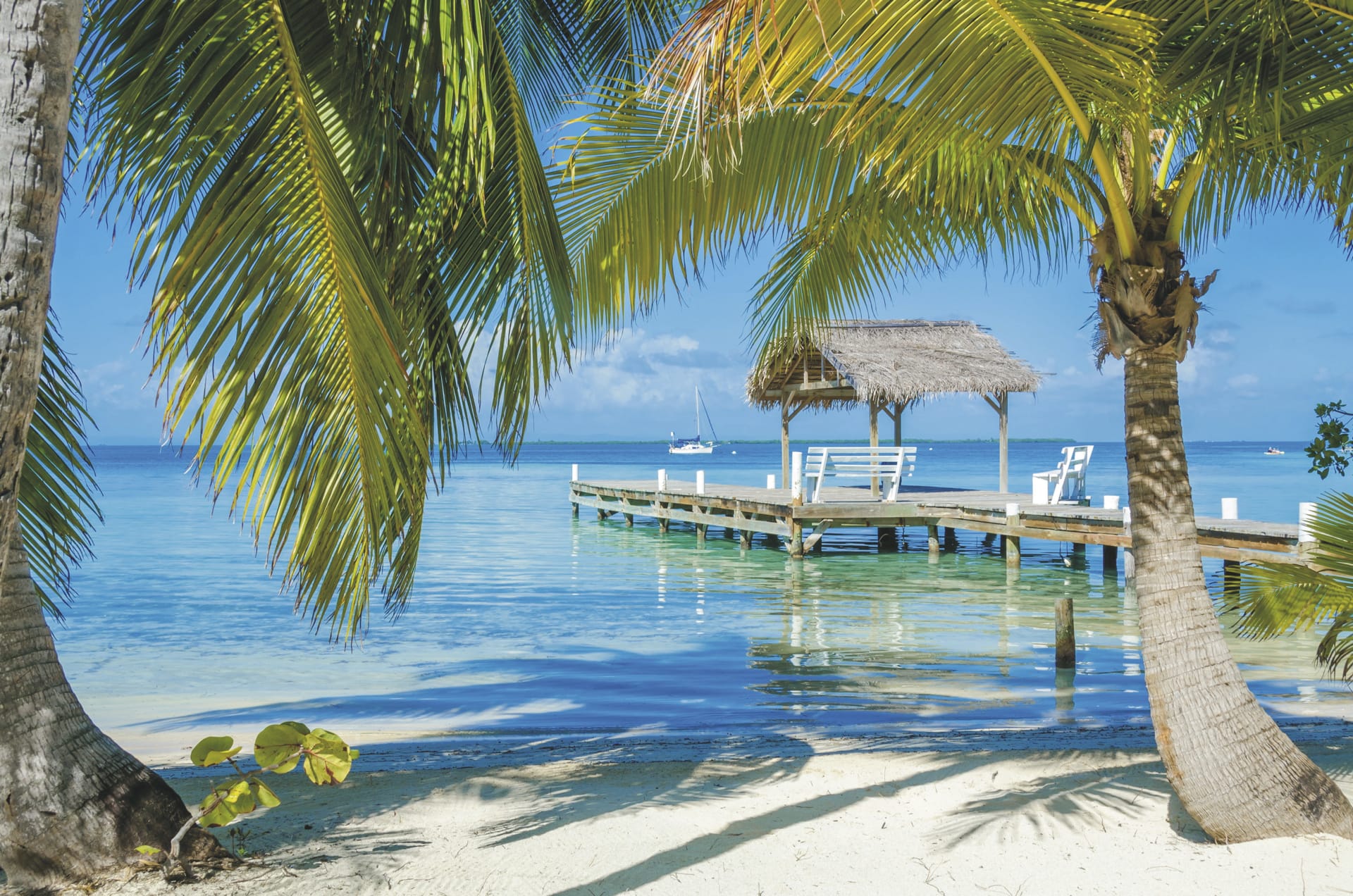 SAM_BEL_20210713_SK_8