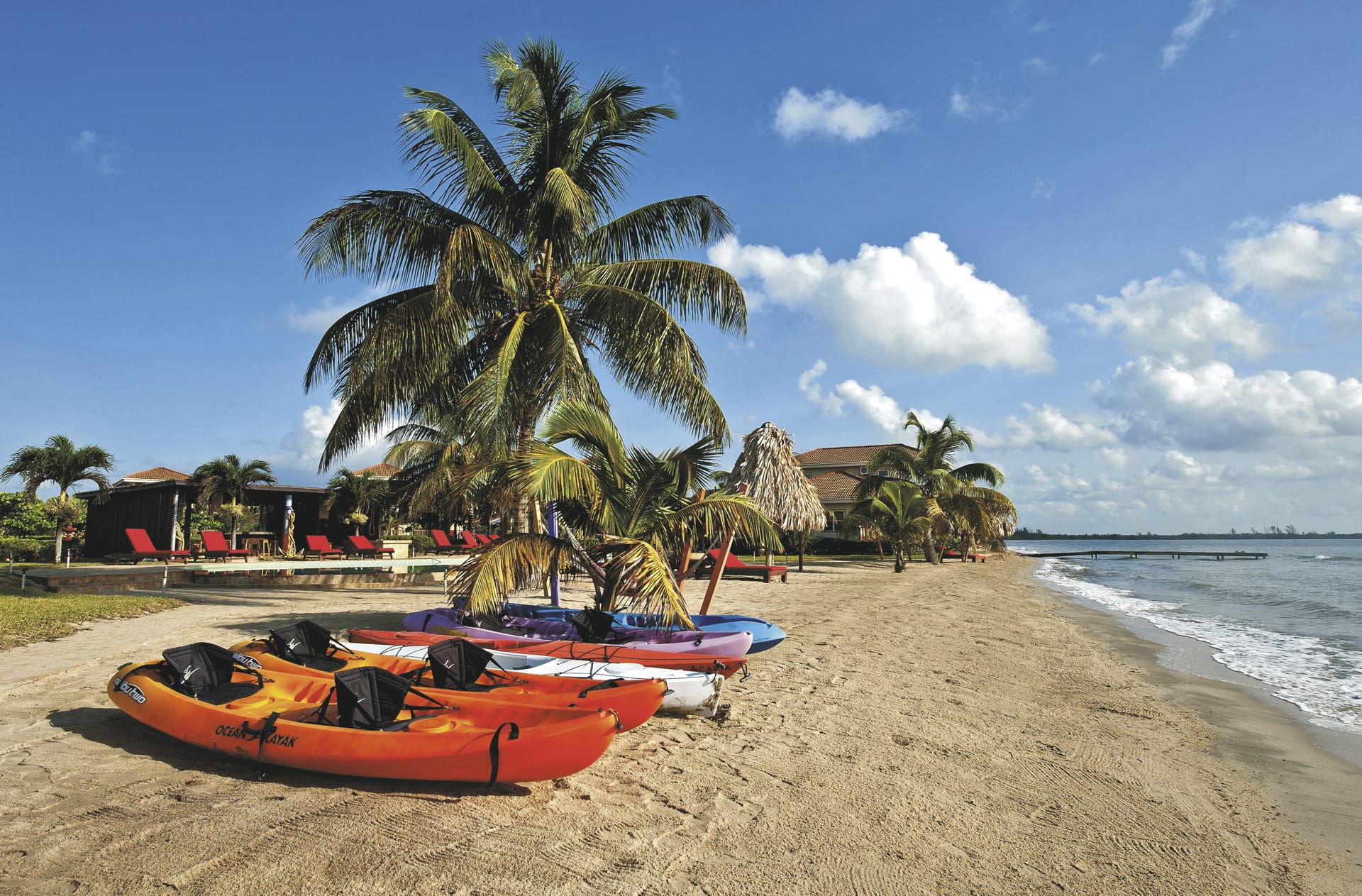 SAM_BEL_20211205_CSA_02