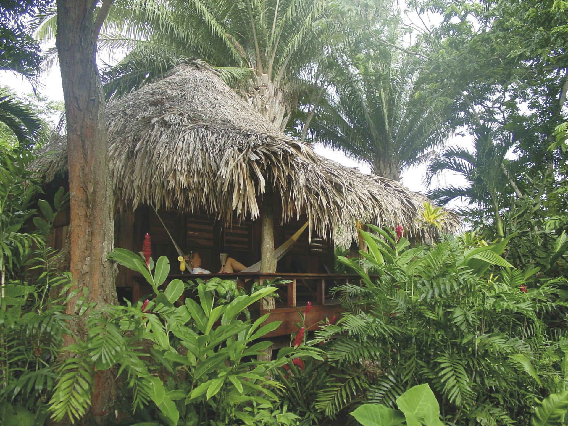 SAM_BEL_20211205_CSA_08