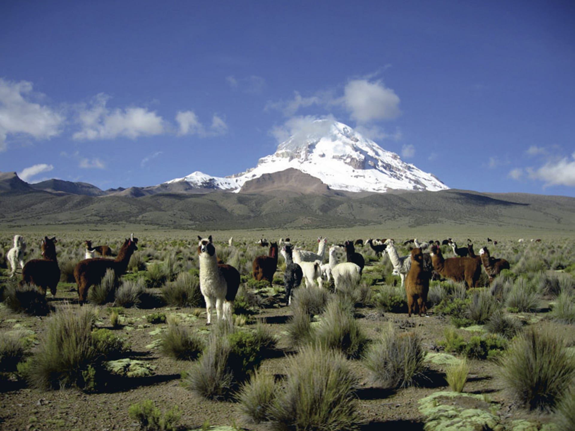 SAM_BO_031_20120831_PP