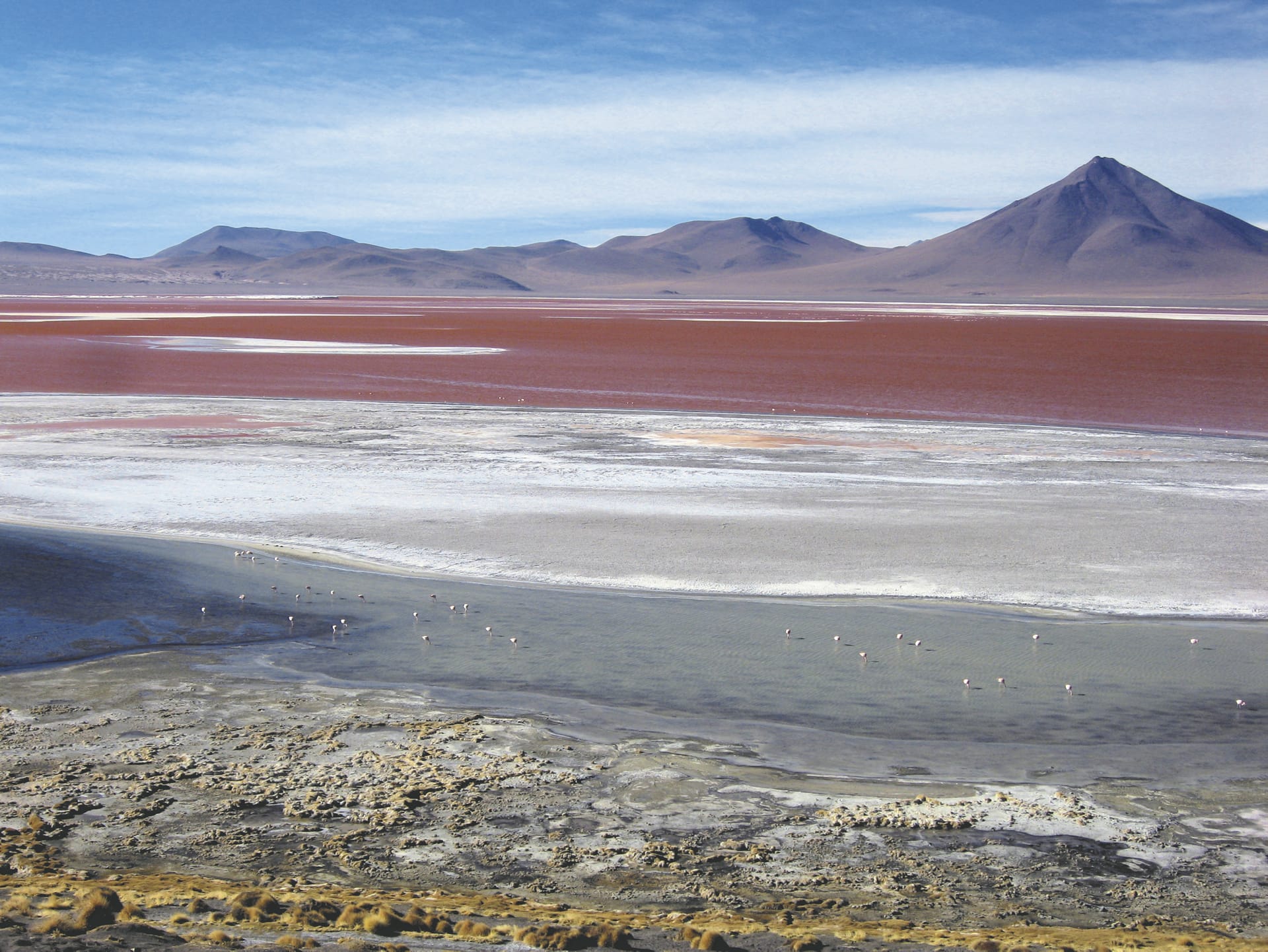 SAM_BO_113_20140901_PP