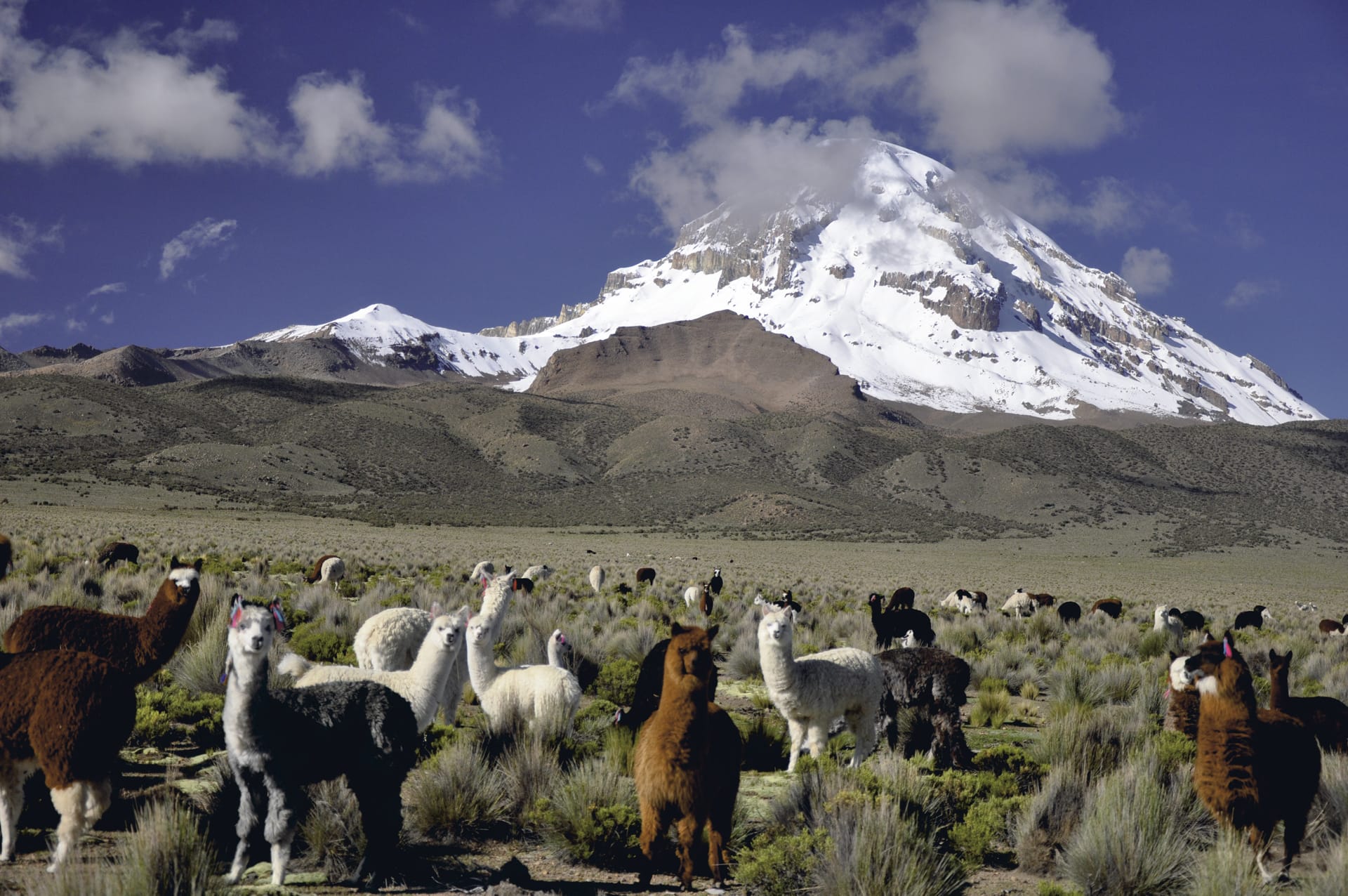 SAM_BO_120_20120806_PP