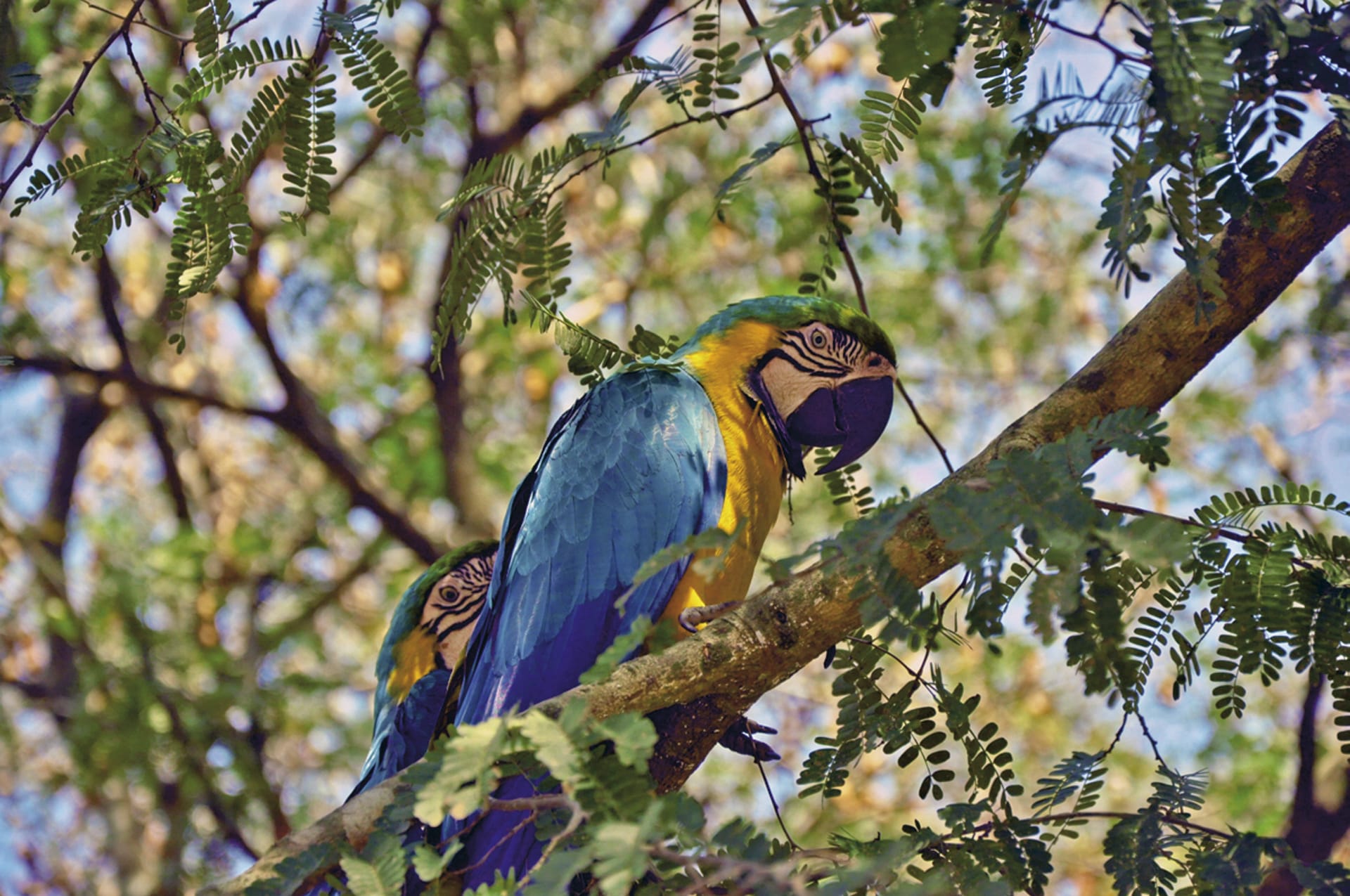 SAM_BO_125_20130830_PP