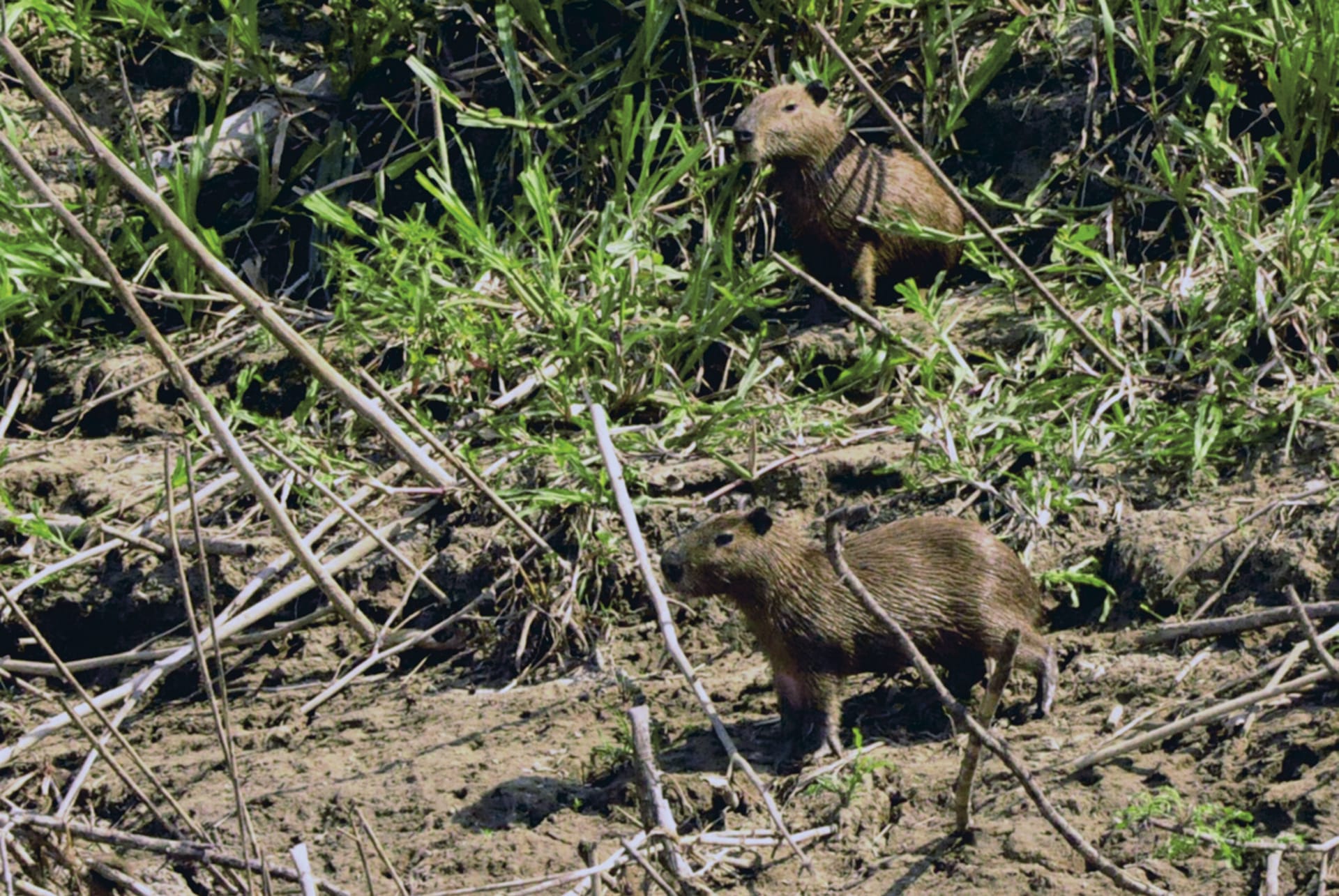 SAM_BO_126_20130830_PP