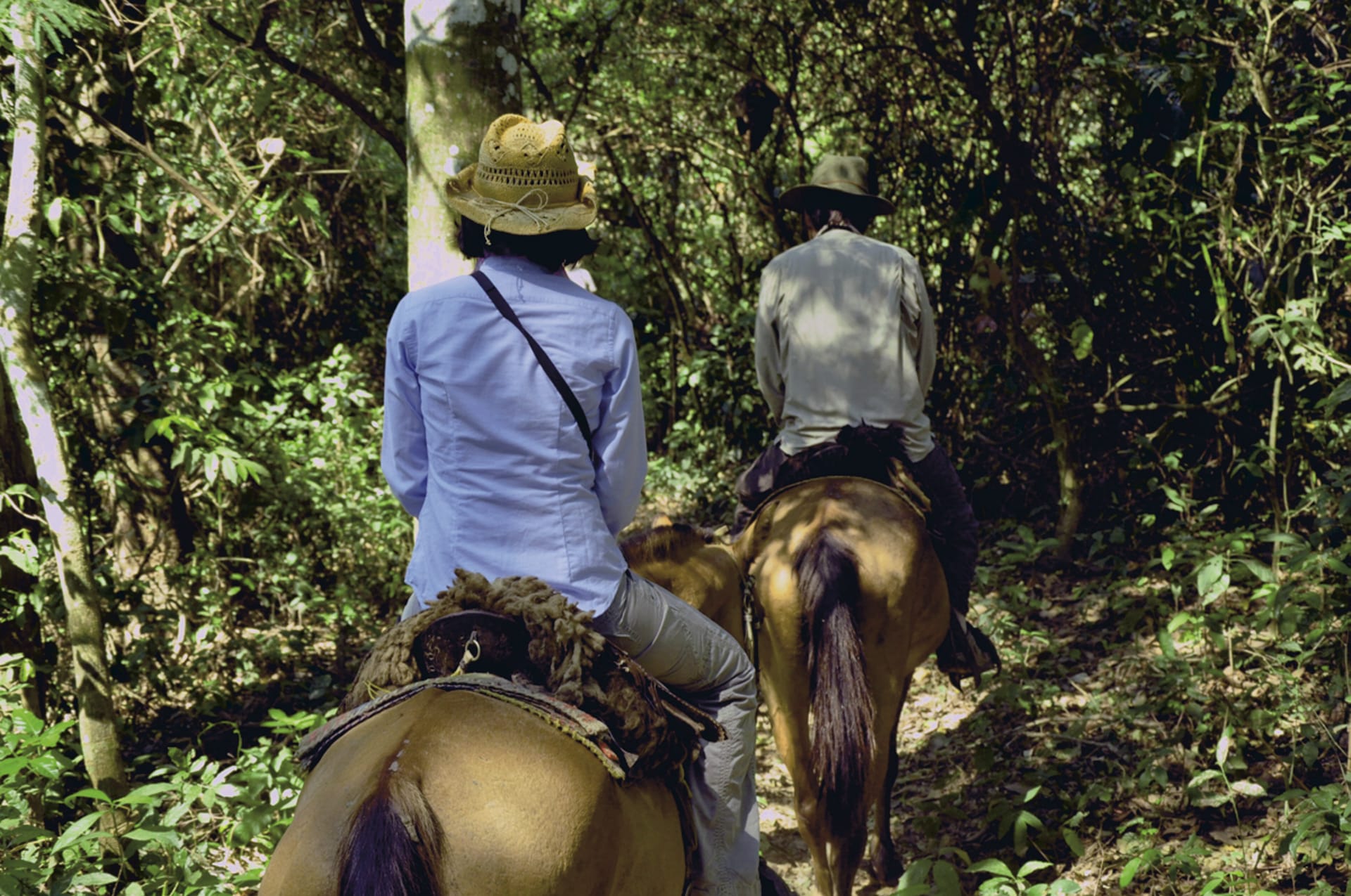 SAM_BO_127_20130830_PP