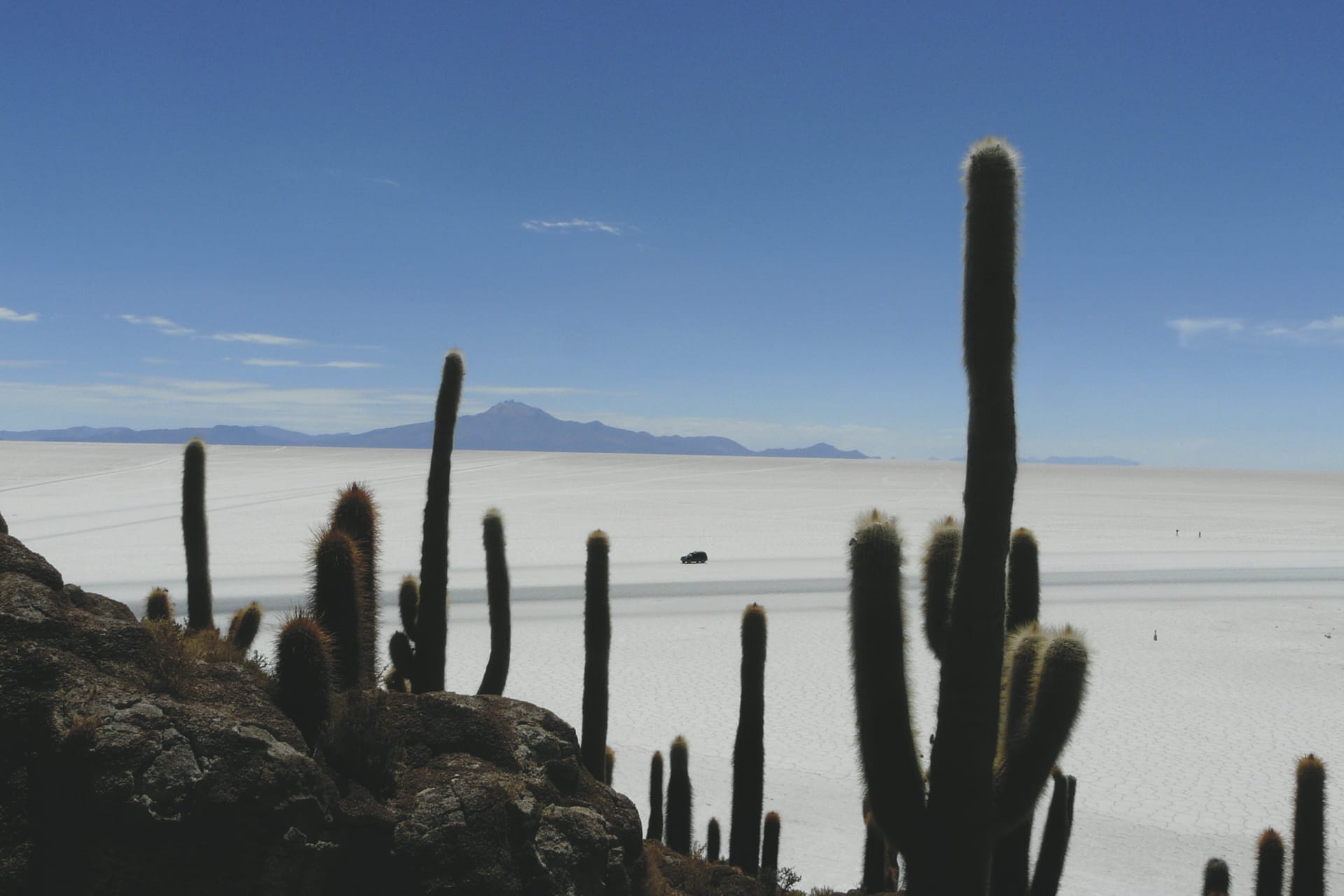 SAM_BO_20190118_IW_11