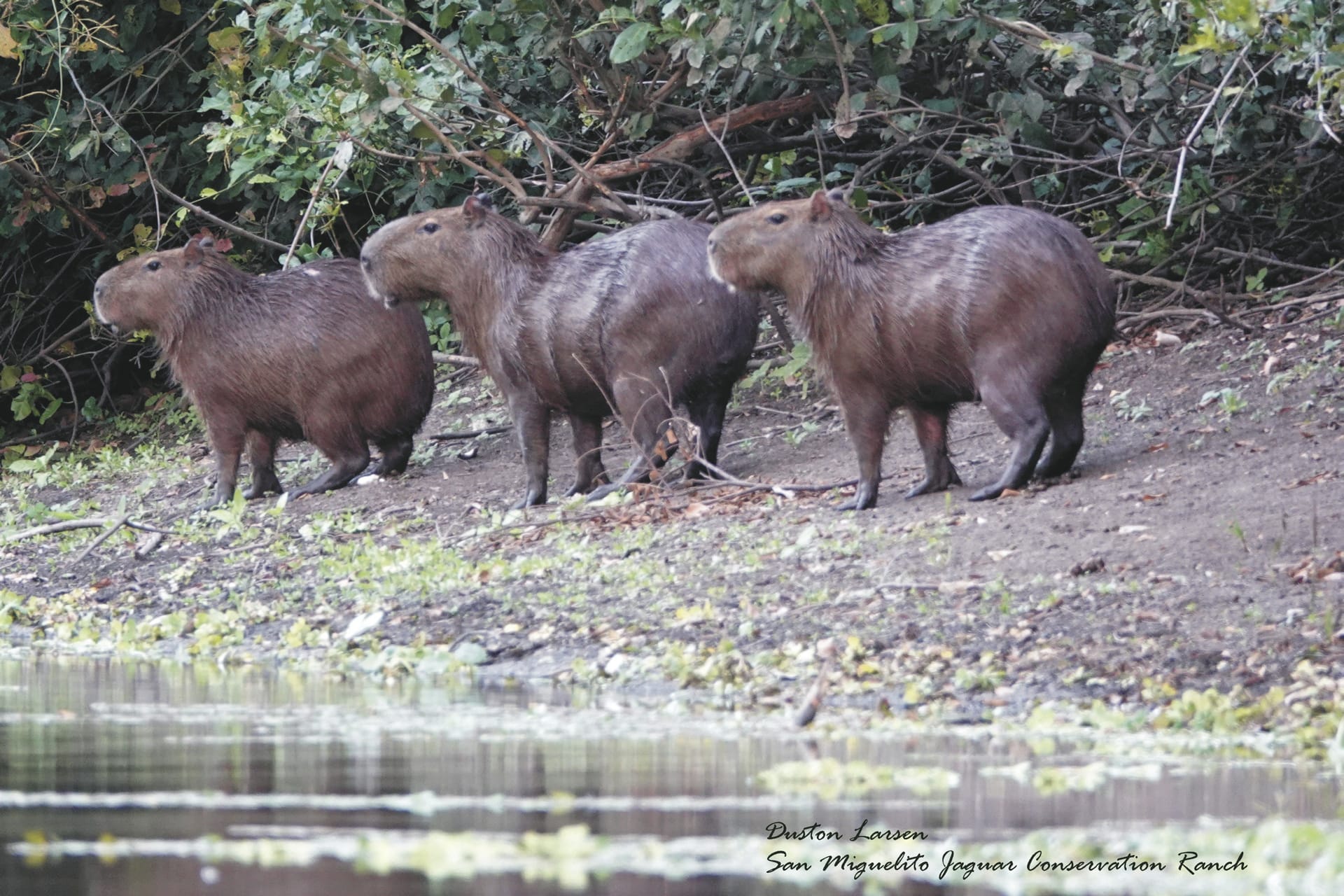 SAM_BO_20221008_KHM_13