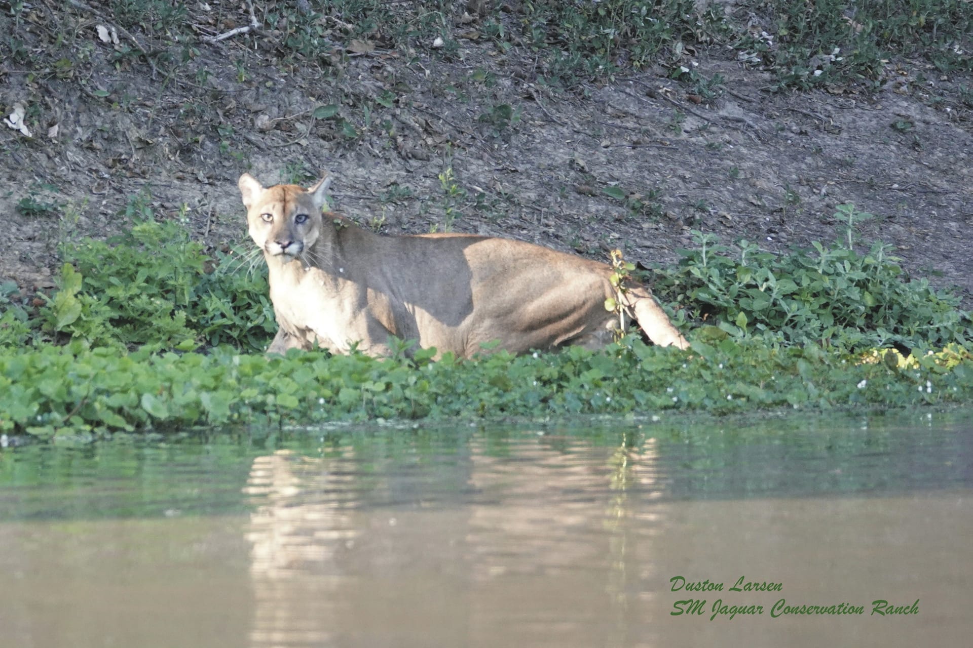 SAM_BO_20221008_KHM_16