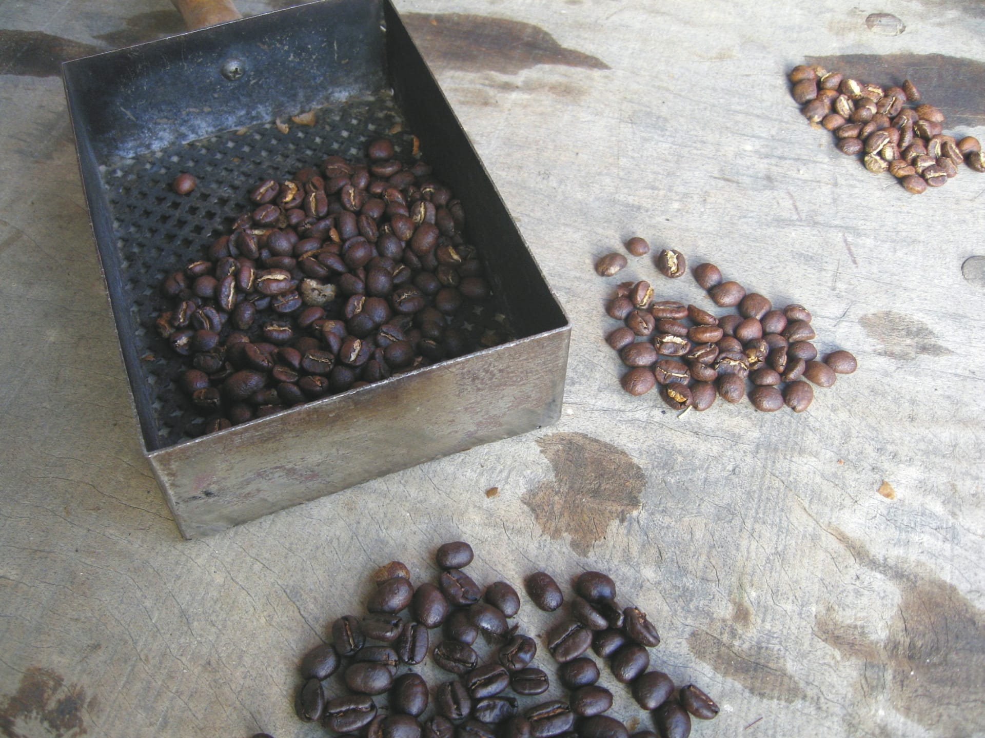 SAM_BO_20221008_KHM_21