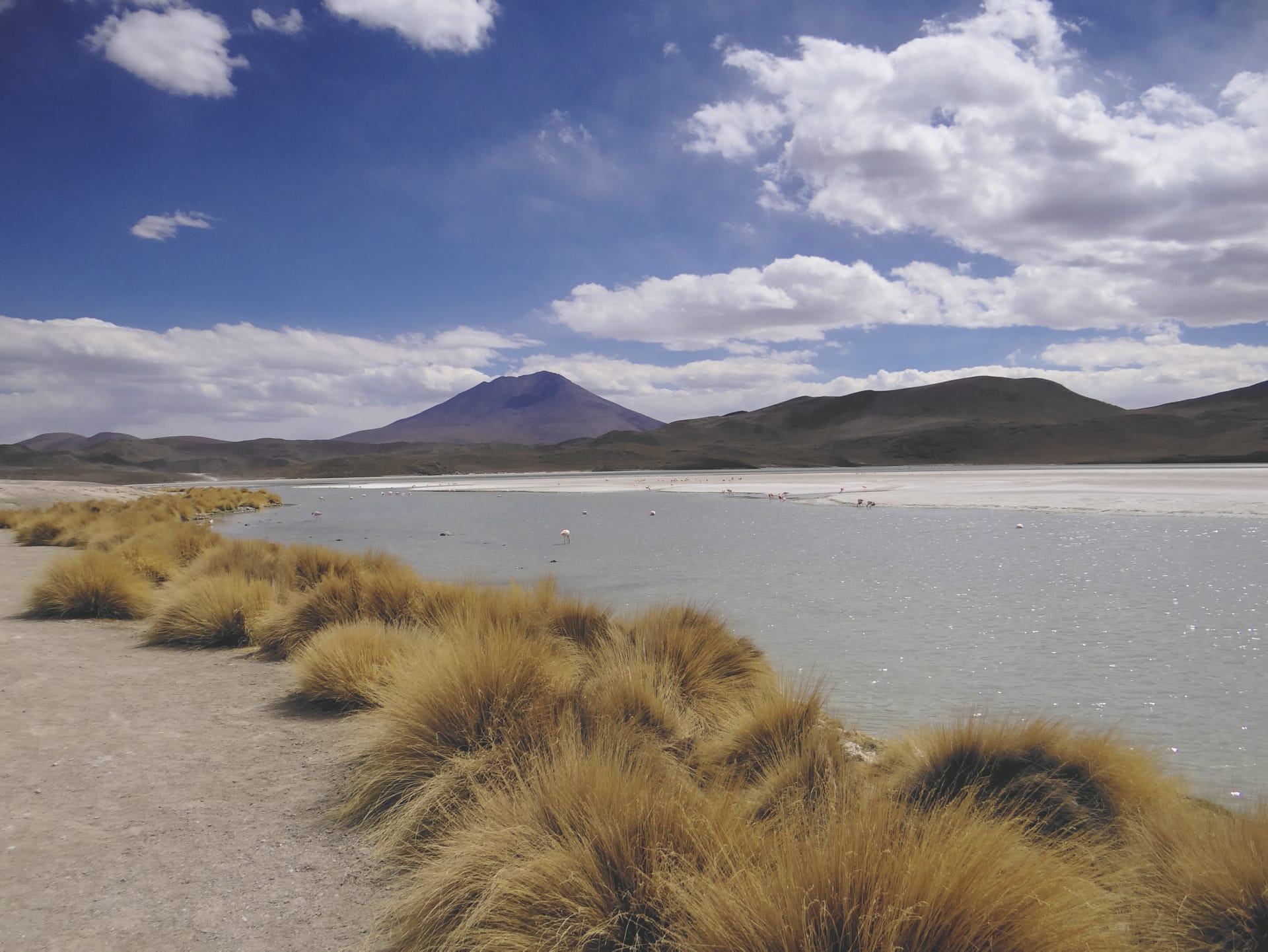 SAM_BO_234_20140927_PP