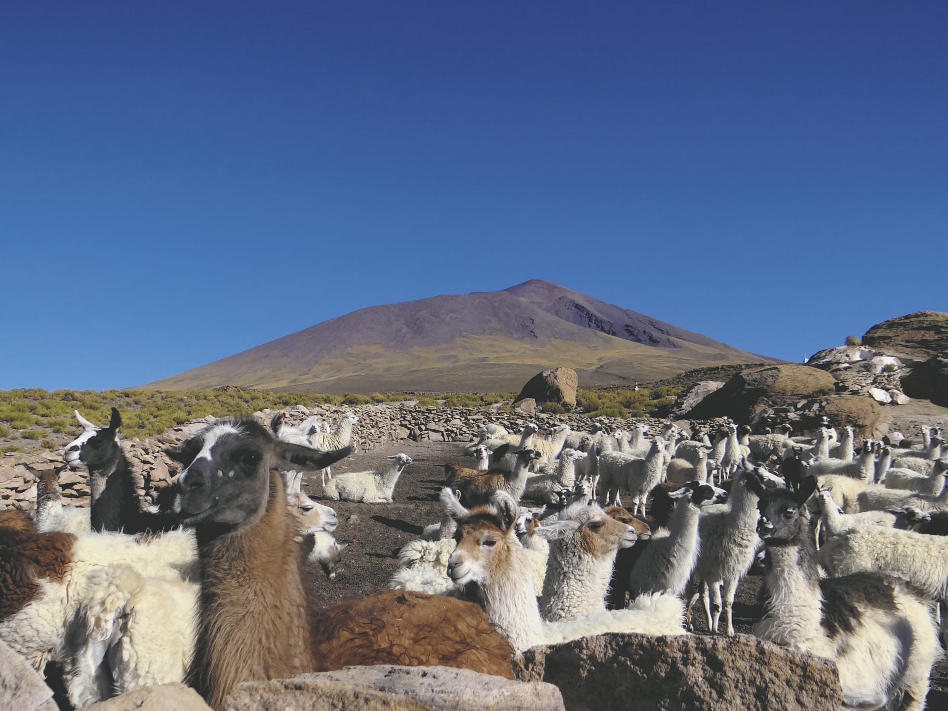 SAM_BO_240_20140927_PP