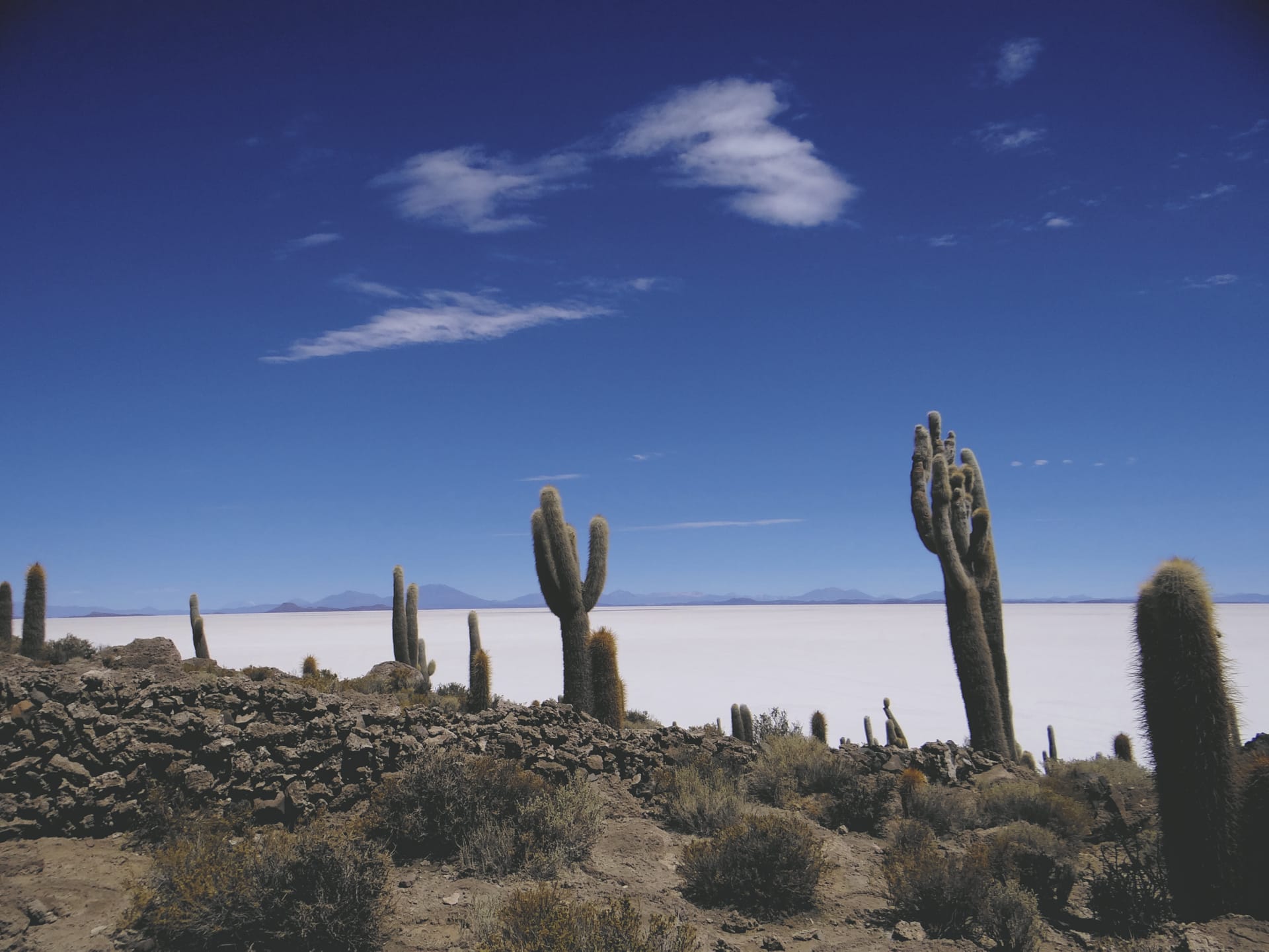 SAM_BO_251_20140927_PP