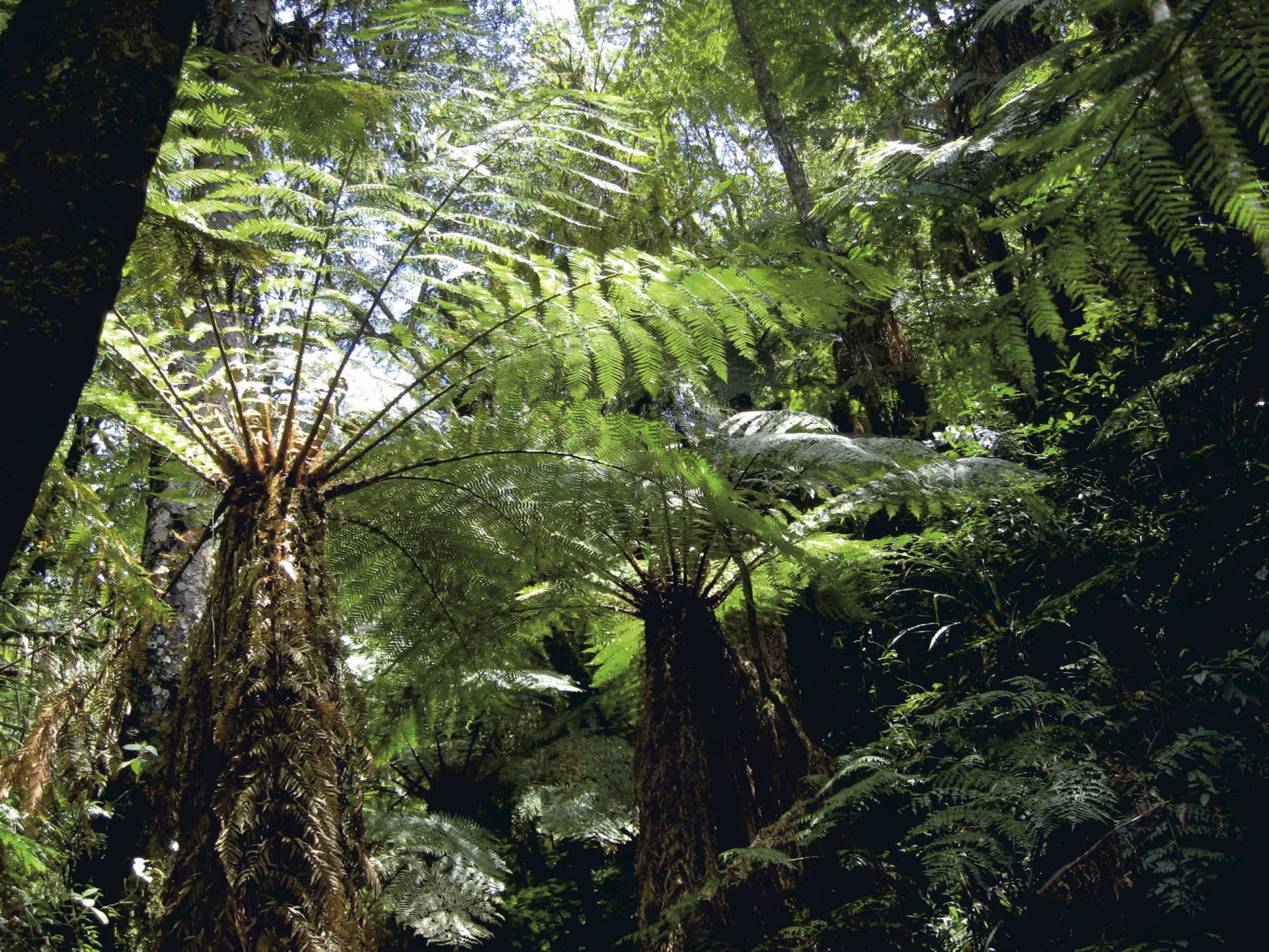 SAM_BO_547_20131122_PP