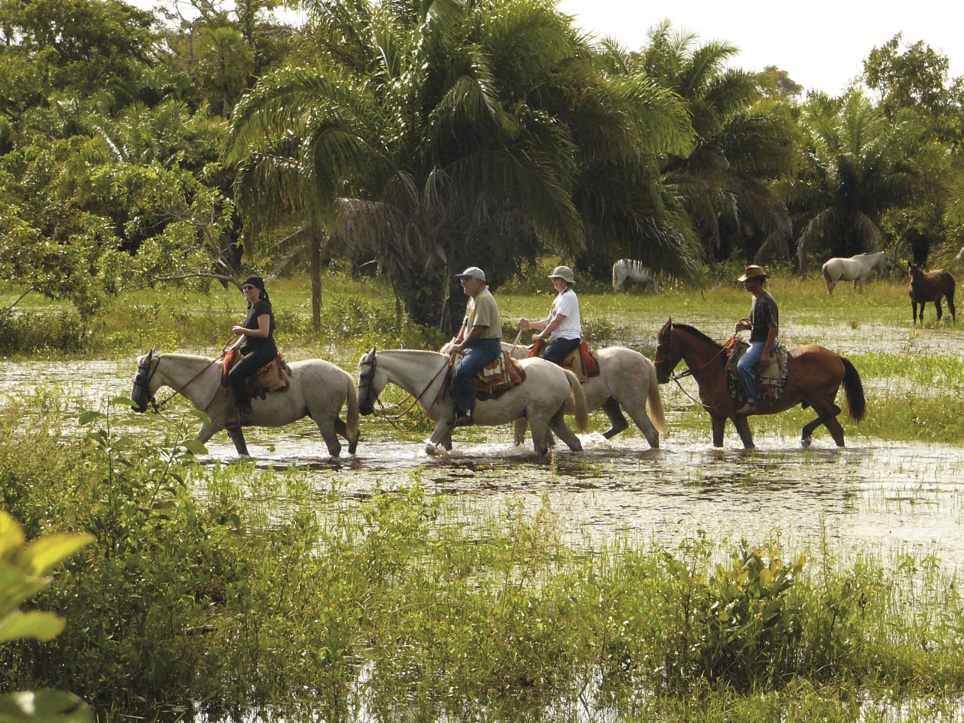 SAM_BR_016_20141015_AD