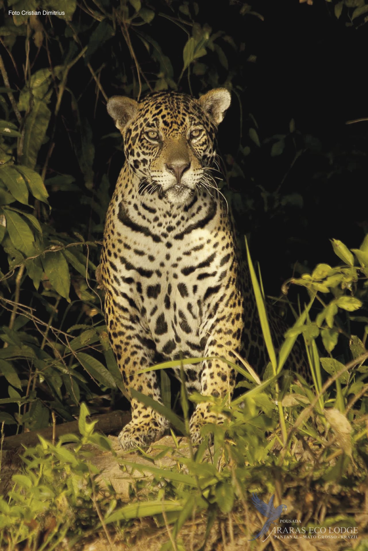 SAM_BR_017_20141015_AD