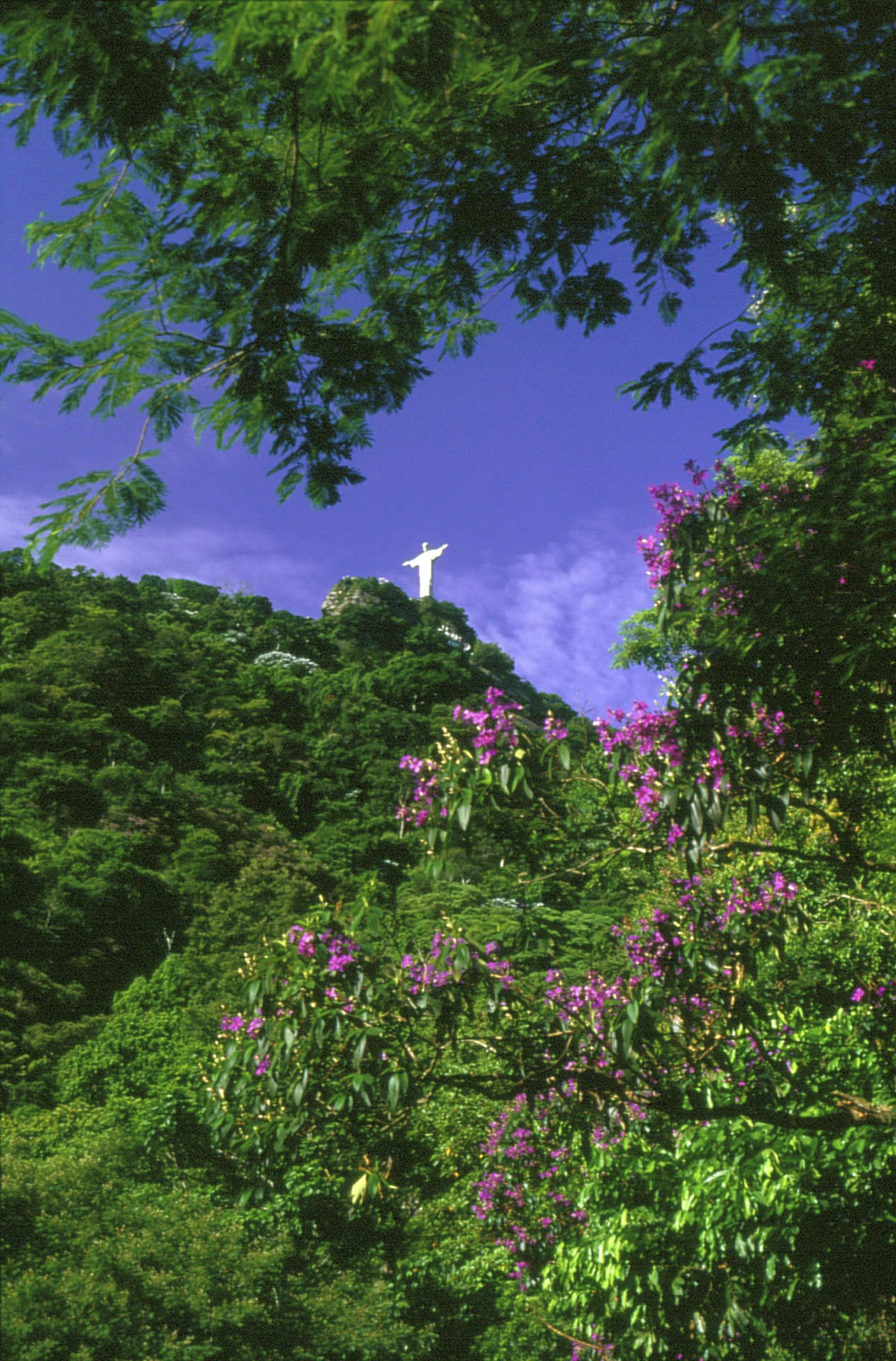 SAM_BR_027_20091009_KA