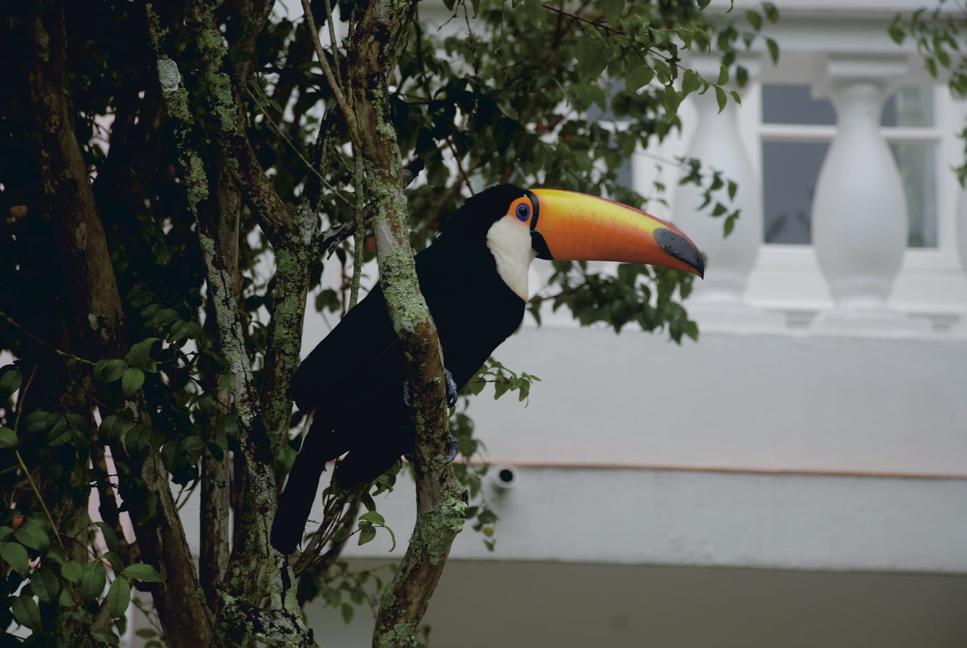 SAM_BR_069_20130626_PP