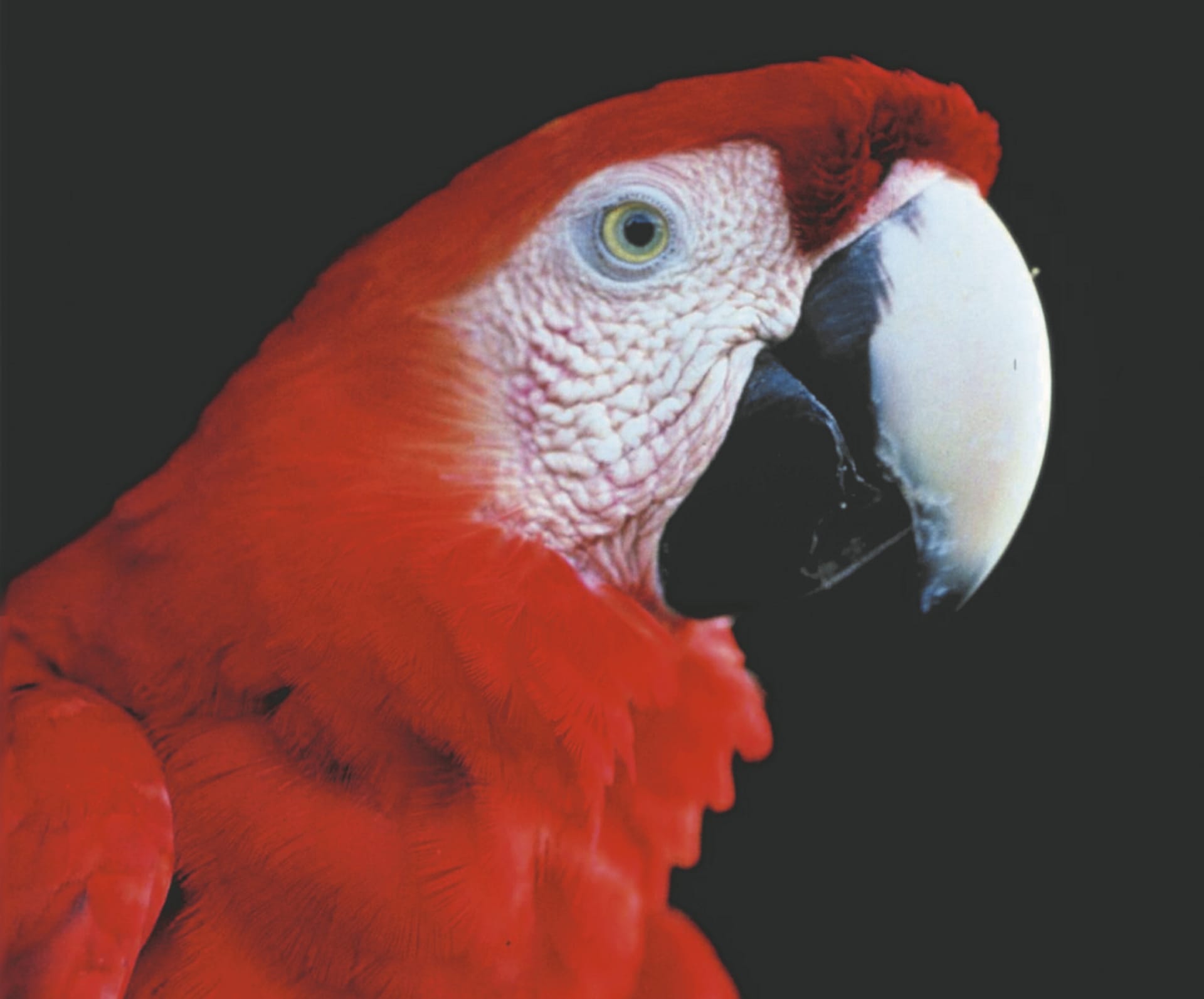 SAM_BR_142_20150928_PP