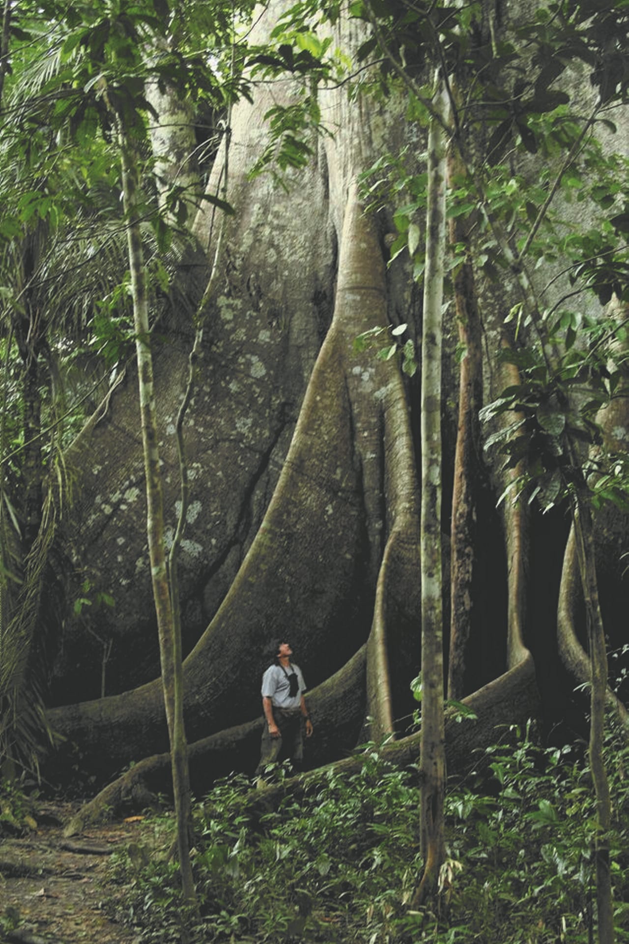 SAM_BR_150_20150928_PP