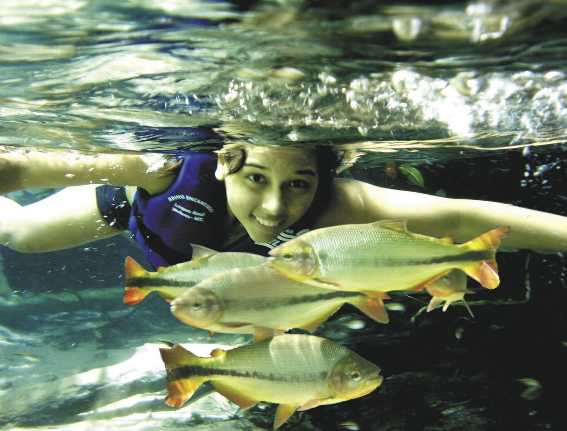 SAM_BR_20241212_MB_10