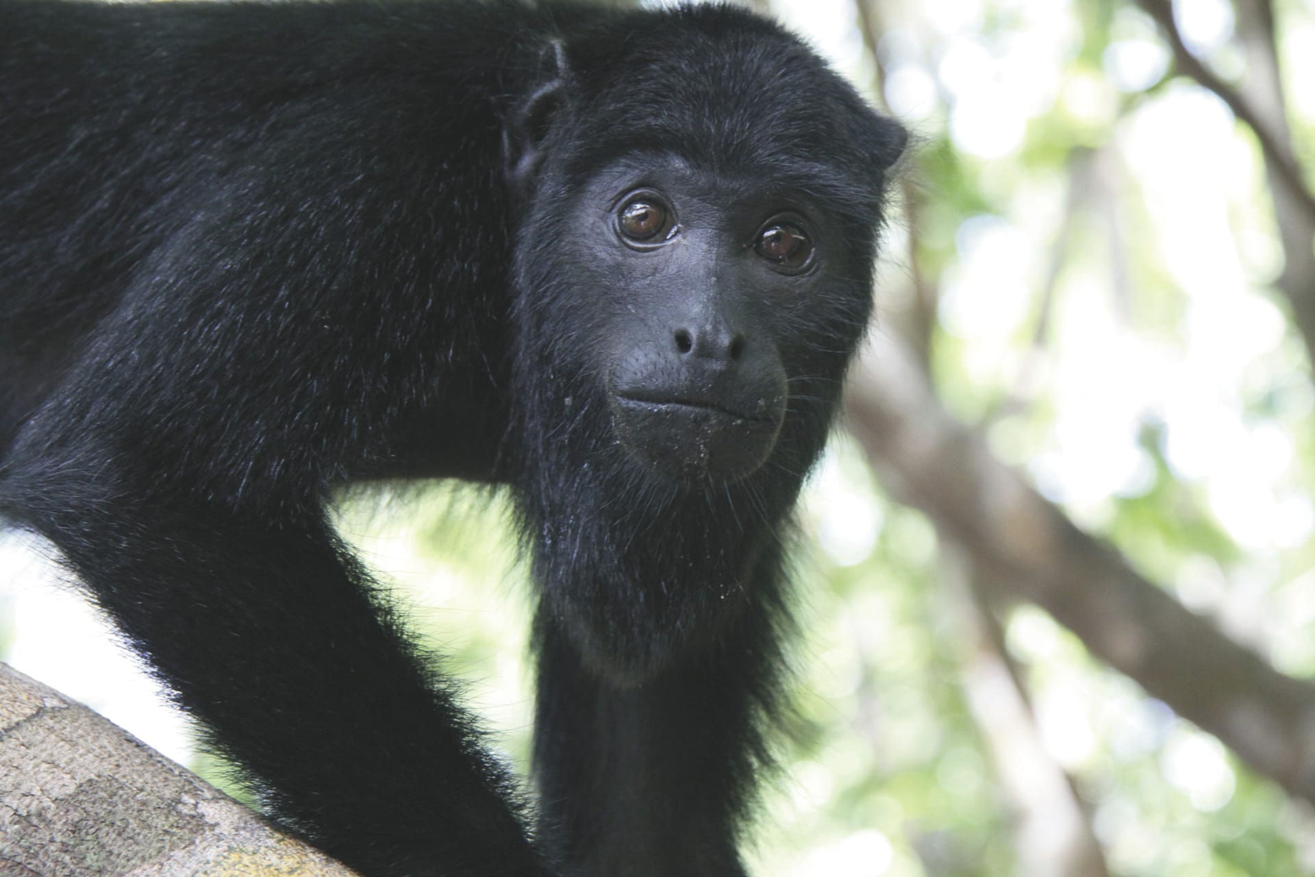 SAM_BR_20241212_MB_9