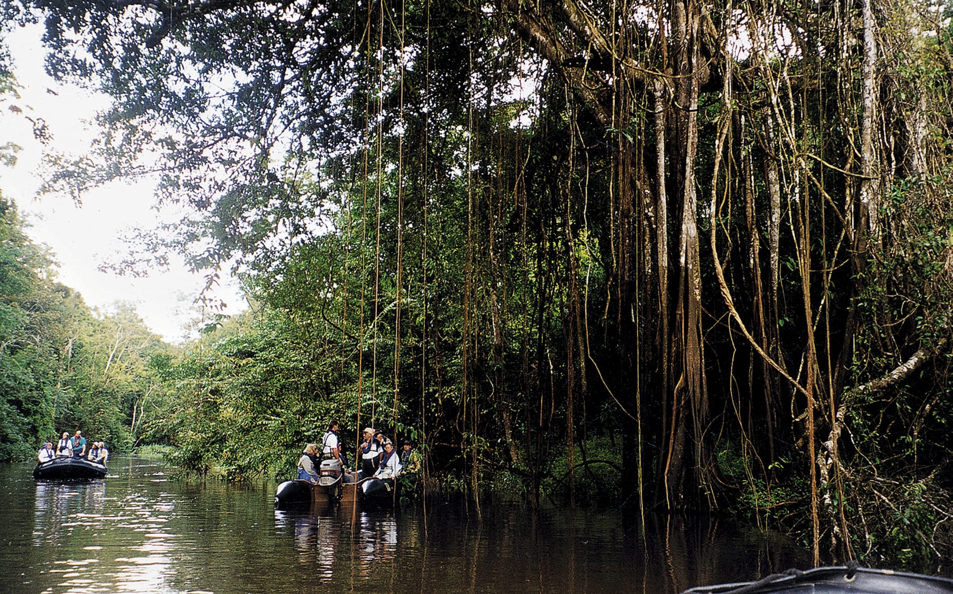 SAM_BR_210_20090114_SS