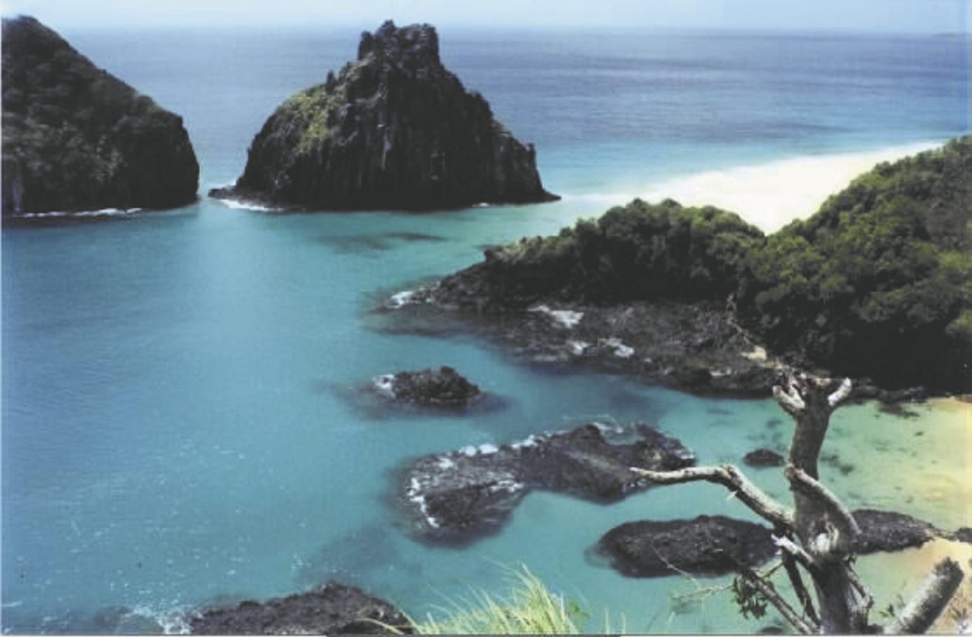 SAM_BR_256_20151014_PP